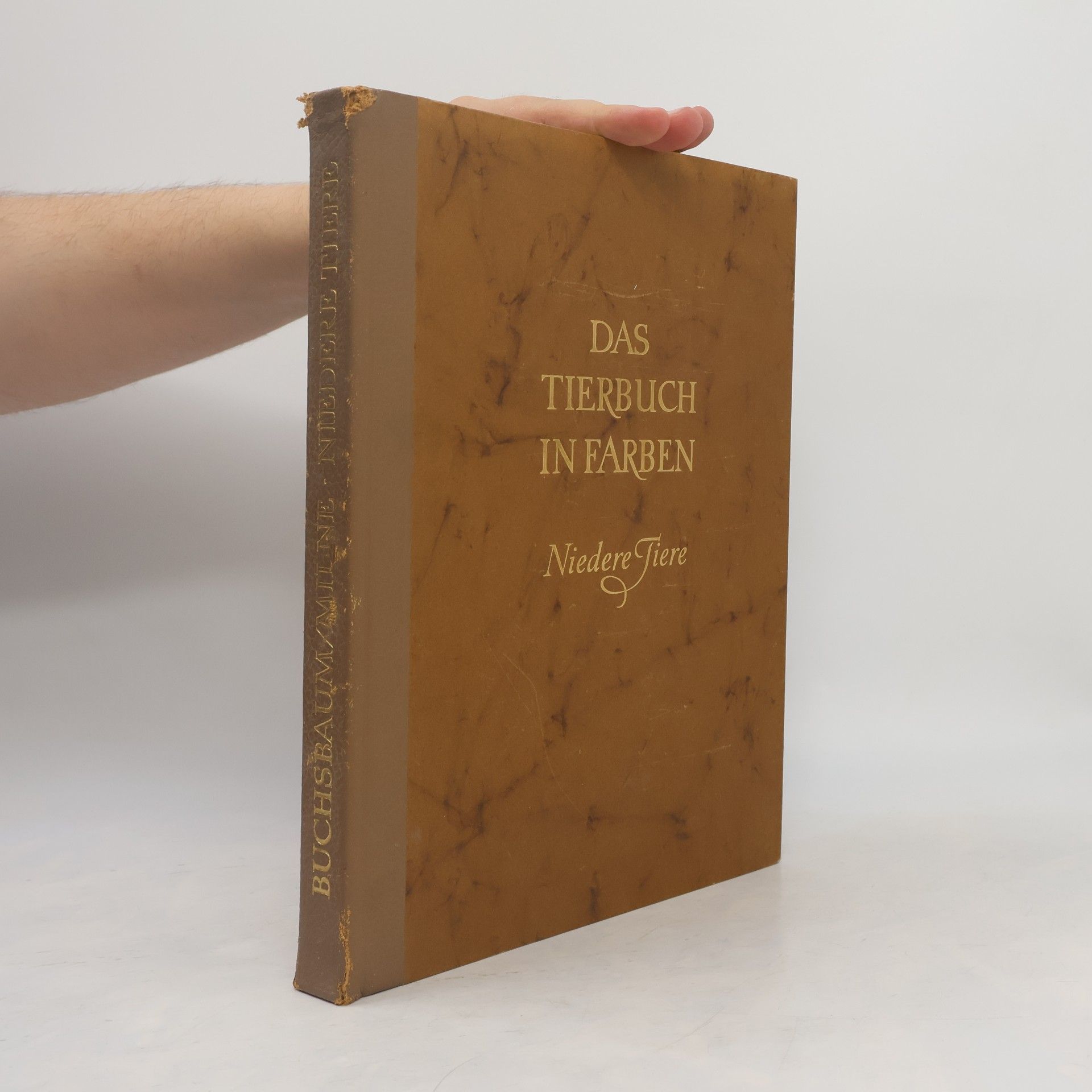 Lorus J. Milne Das Tierbuch in Farben. Niedere Tiere