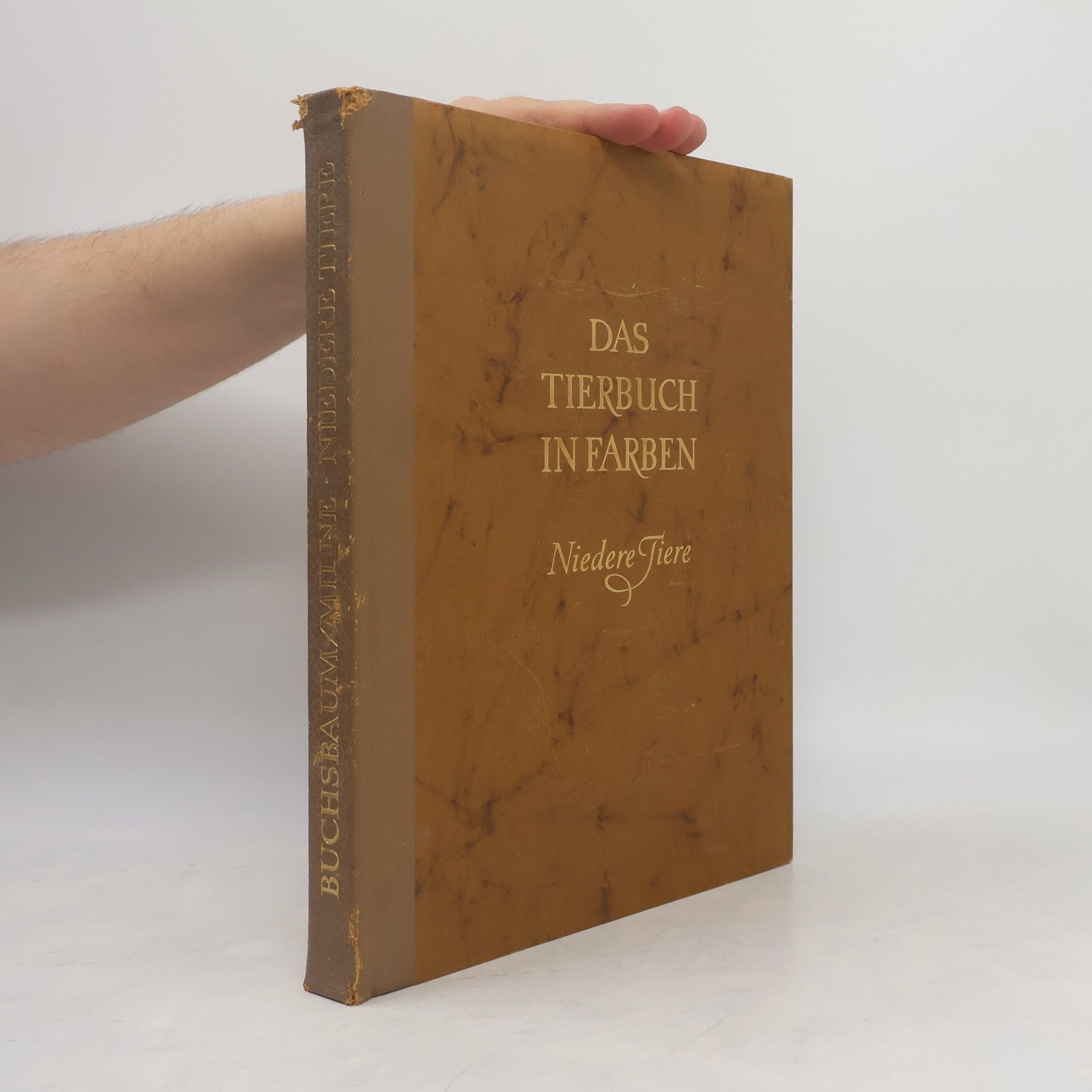 Ralph Buchsbaum Das Tierbuch in Farben. Niedere Tiere