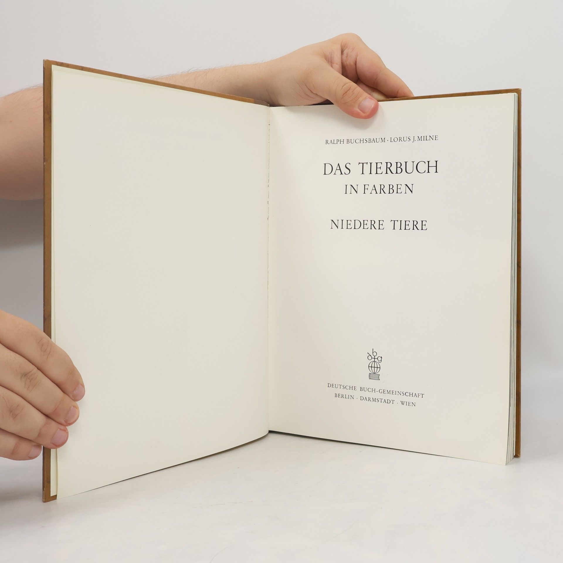 Ralph Buchsbaum Das Tierbuch in Farben. Niedere Tiere
