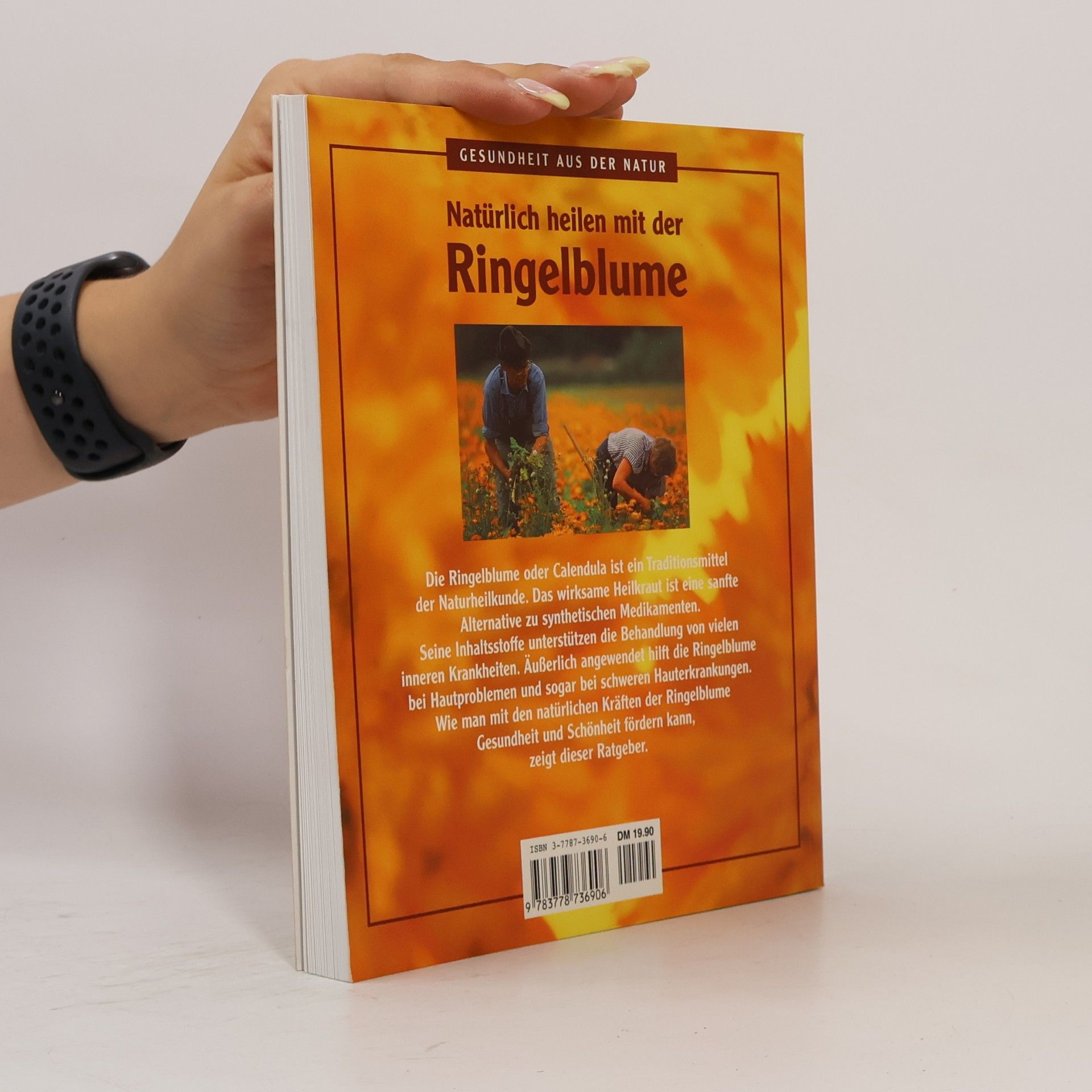 Jörg Zittlau Natürlich heilen mit der Ringelblume