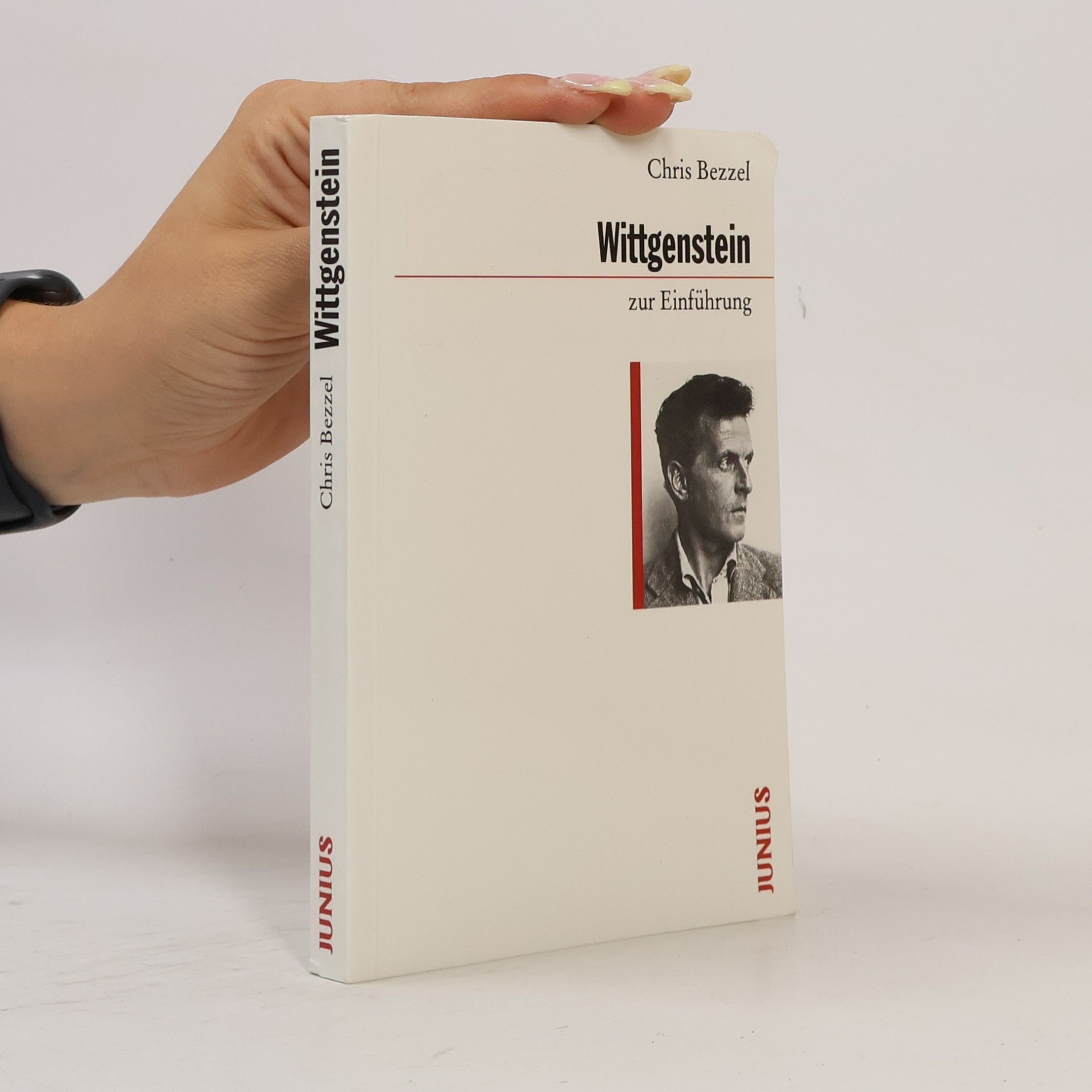 Wittgenstein zur Einführung