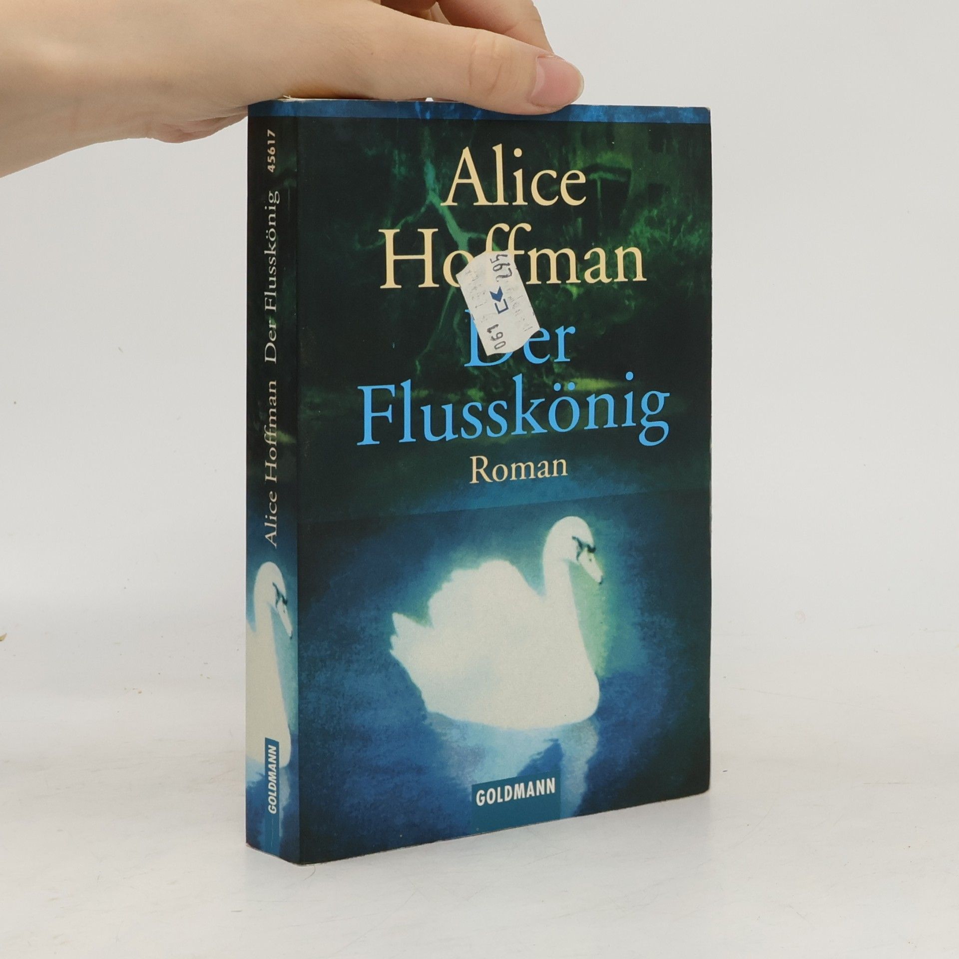 Alice Hoffman Der Flusskönig