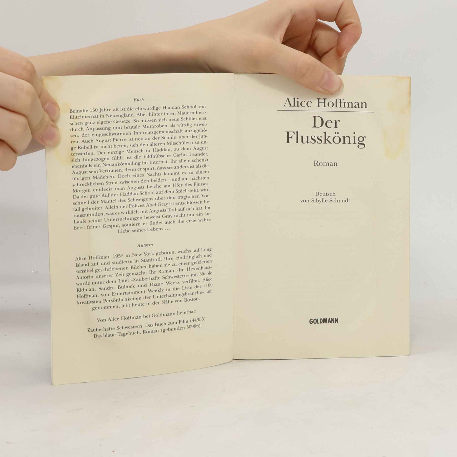 Alice Hoffman Der Flusskönig