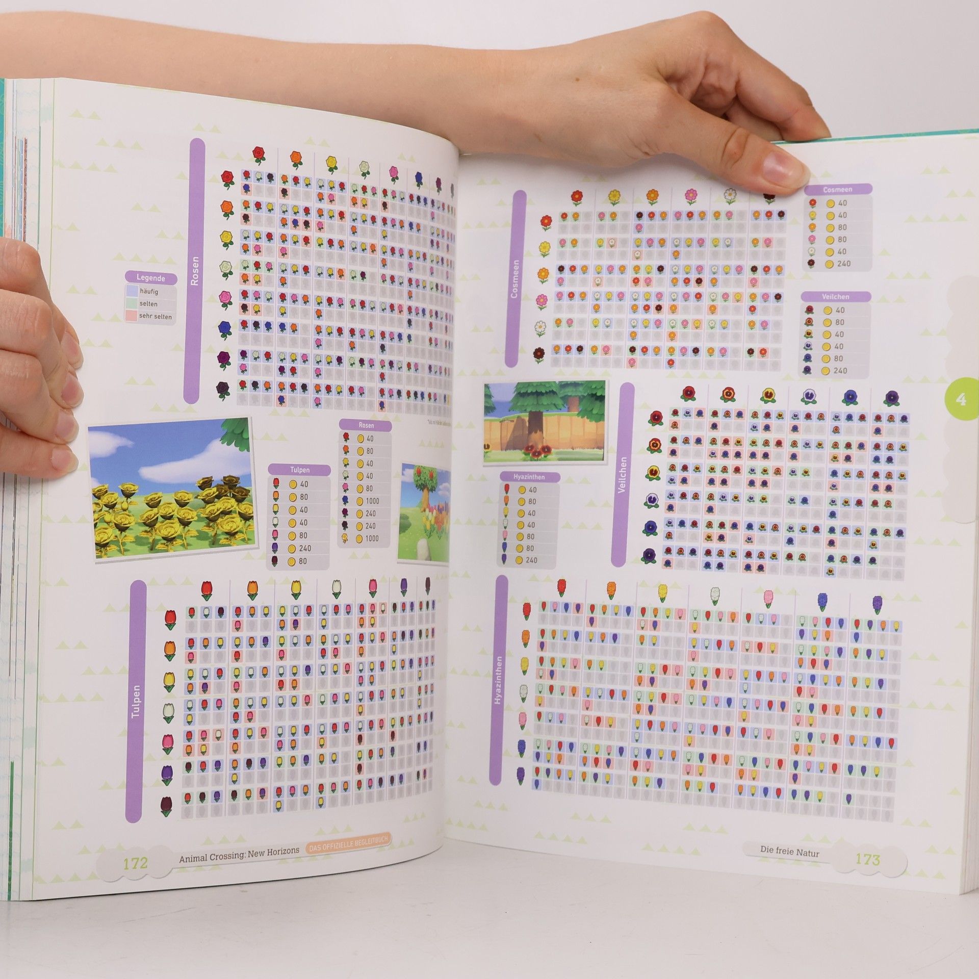 Autorenkollektiv Das offizielle begleitbuch Animal Crossing
