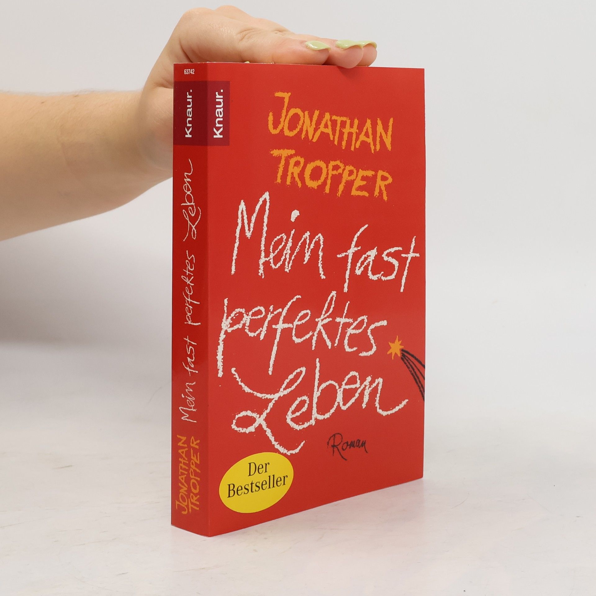 Jonathan Tropper Mein fast perfektes Leben