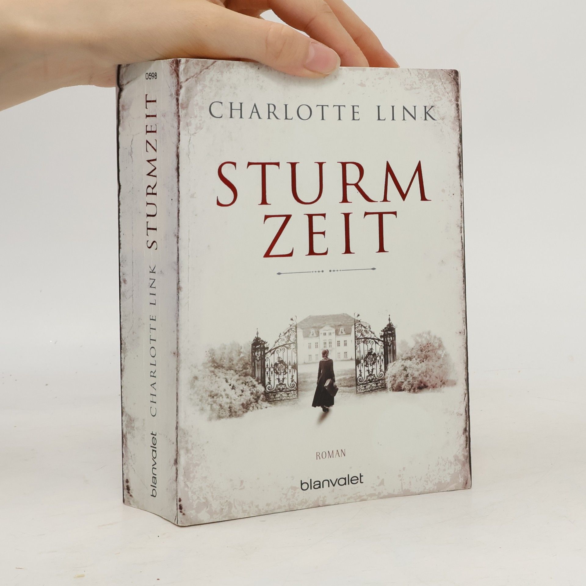 Charlotte Link Sturmzeit