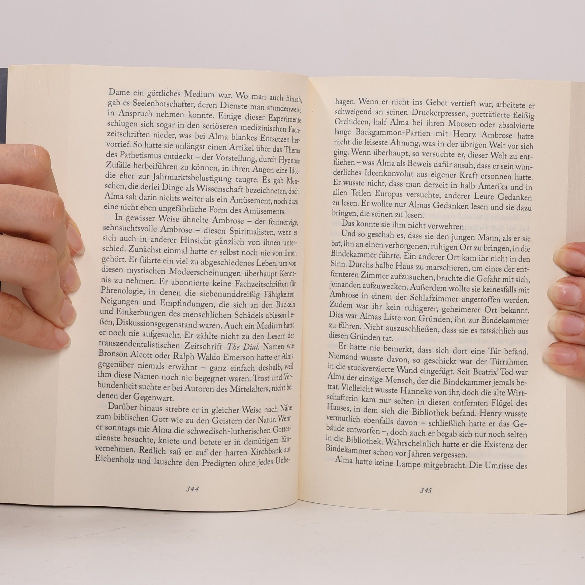 Elizabeth Gilbert Das Wesen der Dinge und der Liebe