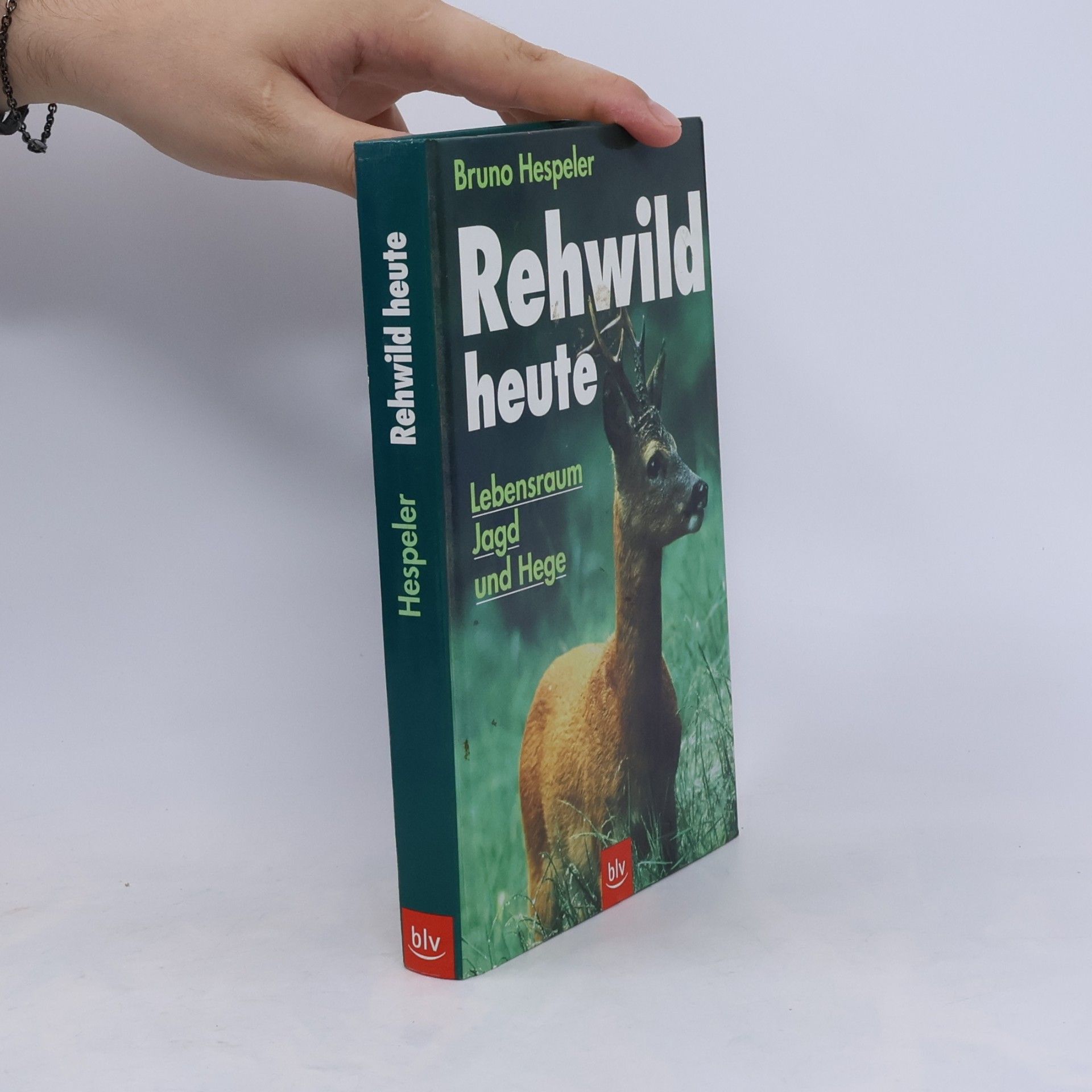 Bruno Hespeler Rehwild heute