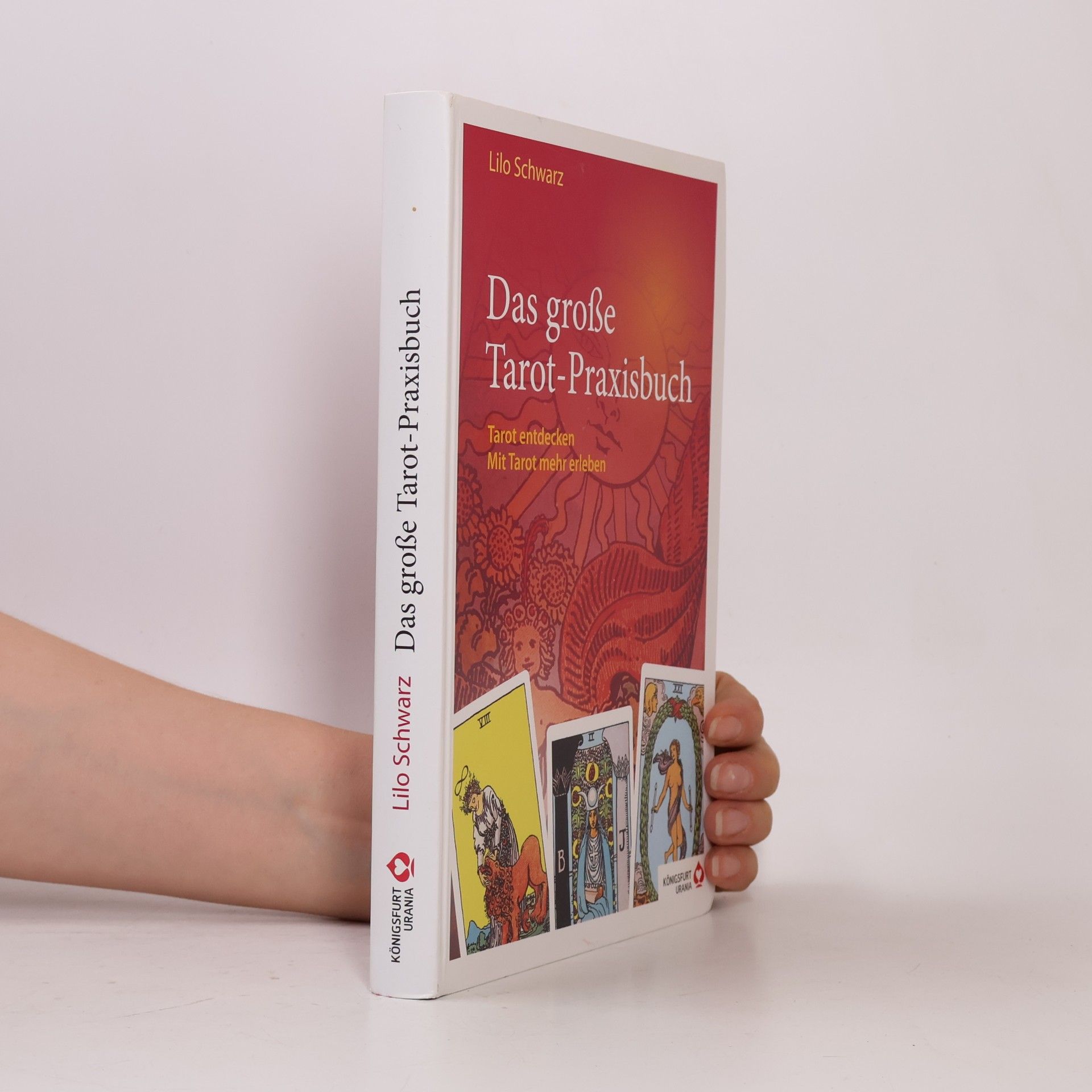 Lilo Schwarz Das große Tarot-Praxisbuch