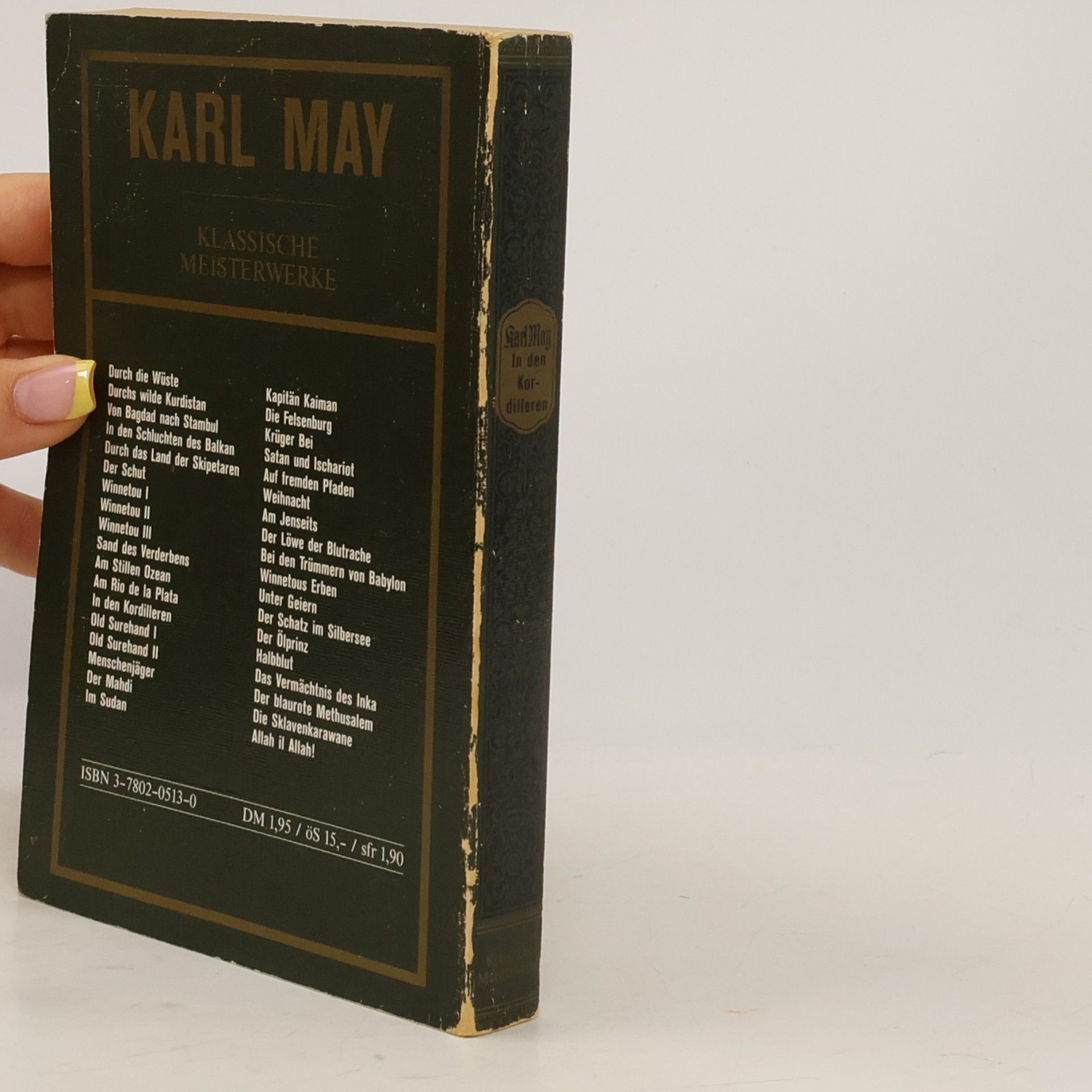 Karl May In den Kordilleren