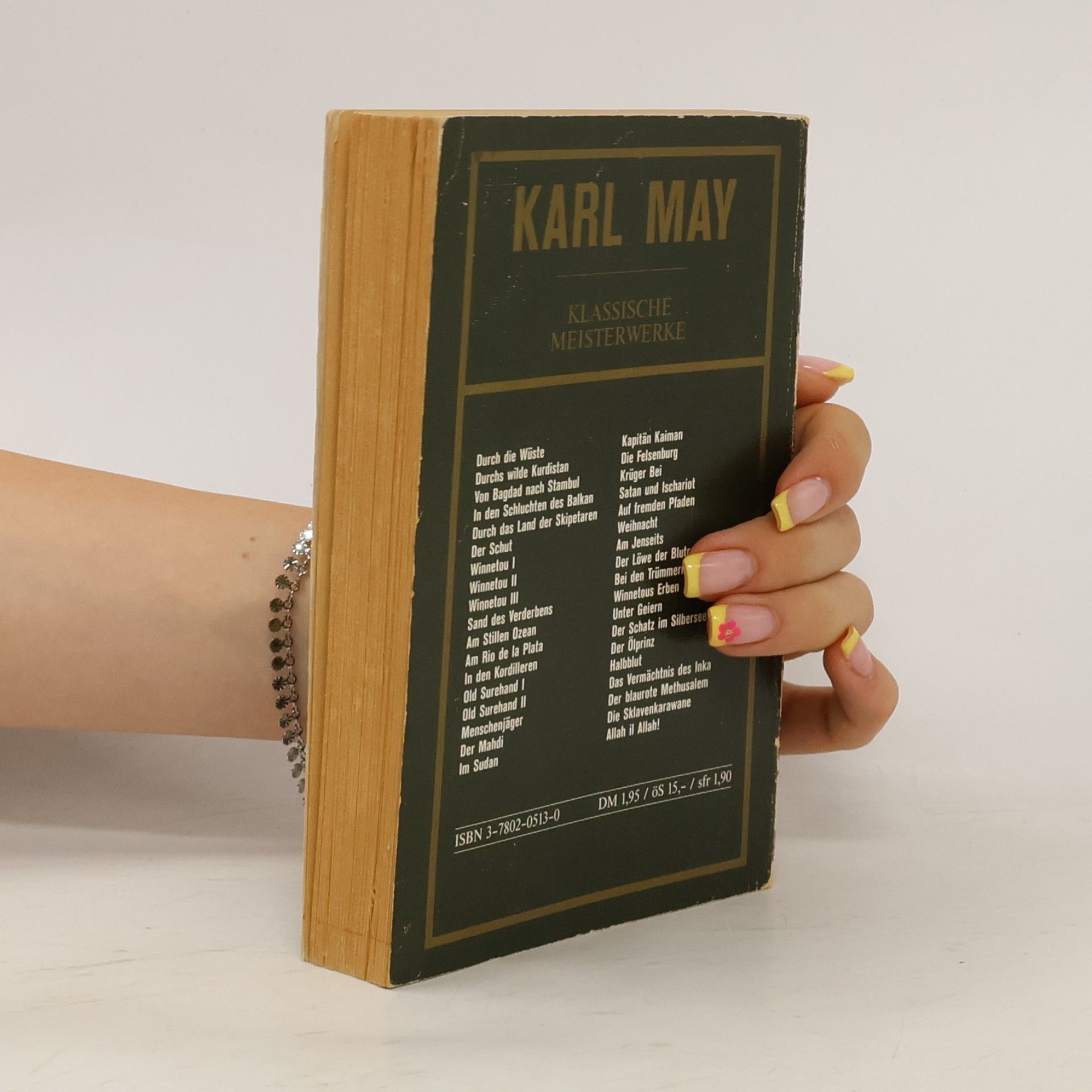 Karl May In den Kordilleren