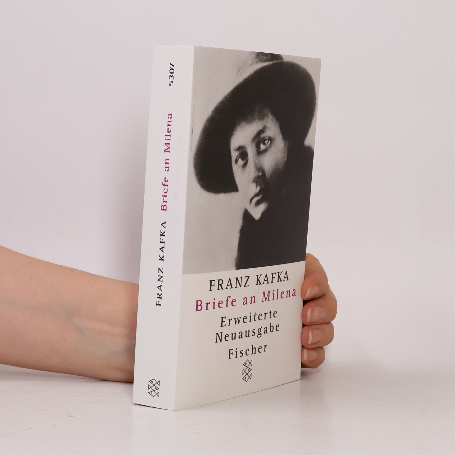Franz Kafka Briefe an Milena