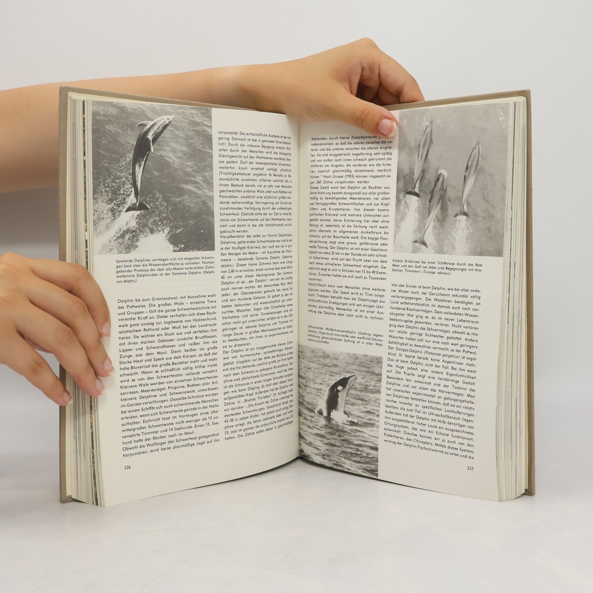 Autorenkollektiv Enzyklopädie des Tierreichs. Säugetiere