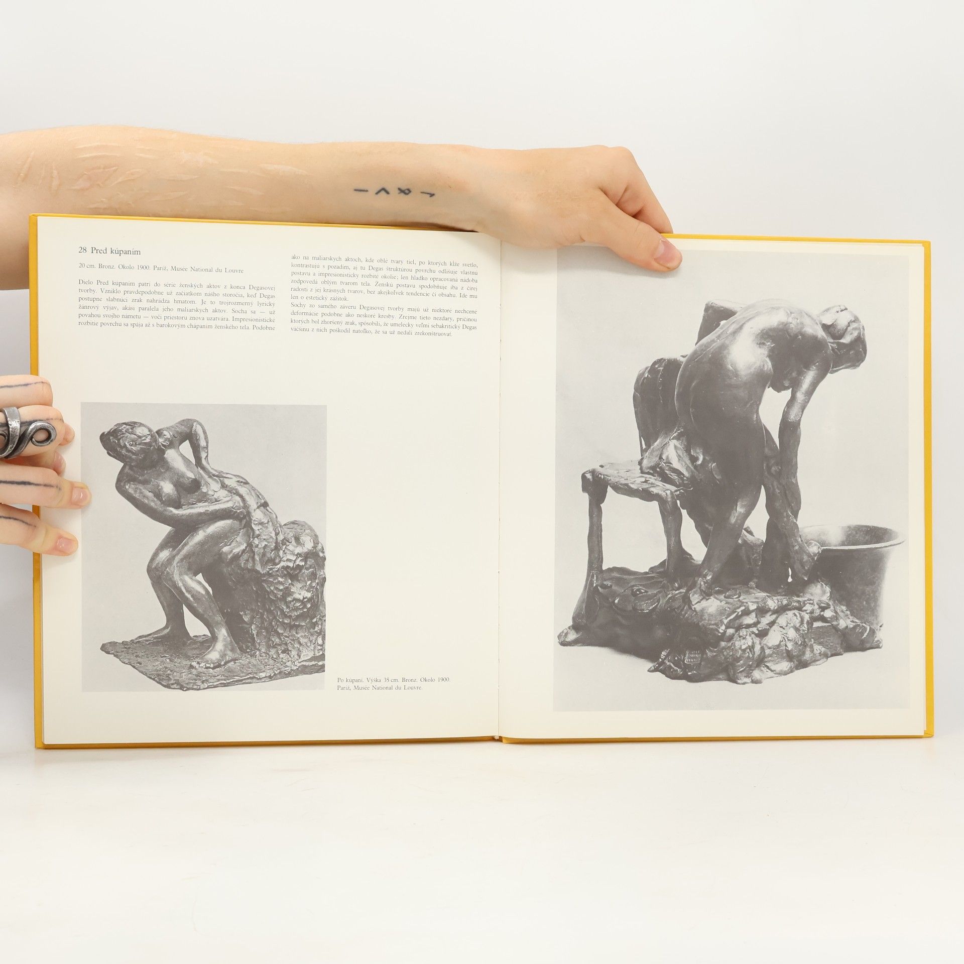 Autorenkollektiv Svět umenia. Edgar Degas