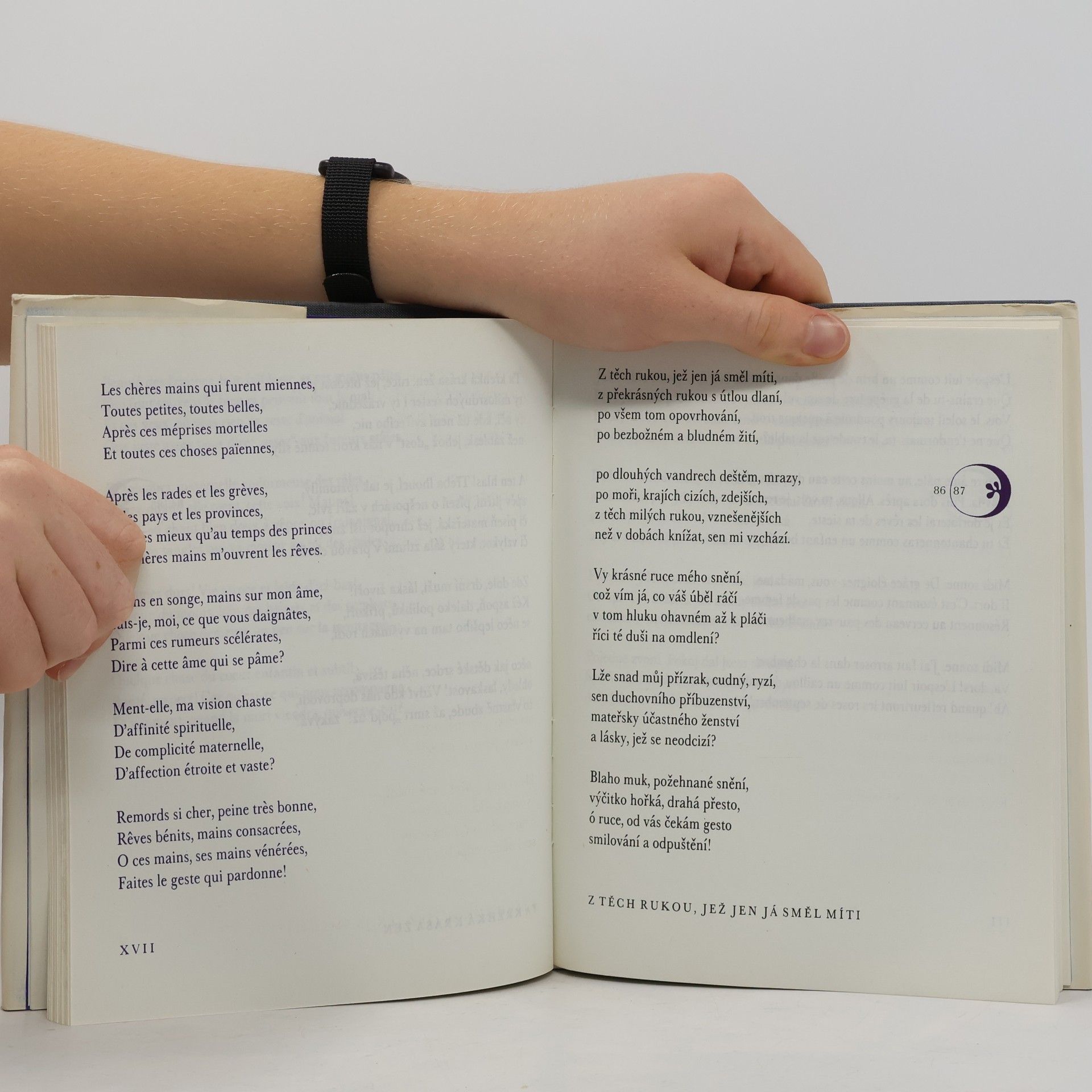 Paul Verlaine Záludná luna