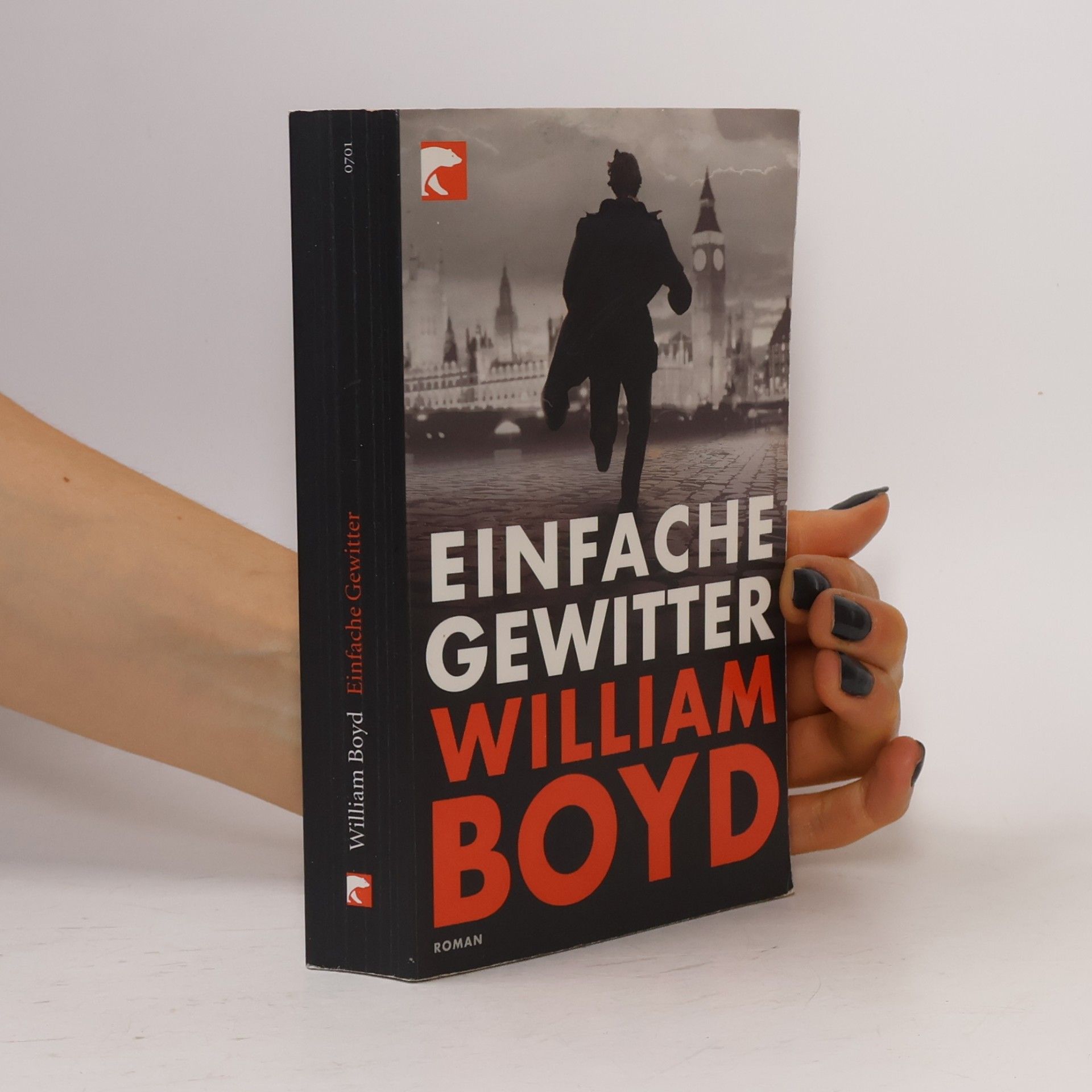 William Boyd Einfache Gewitter