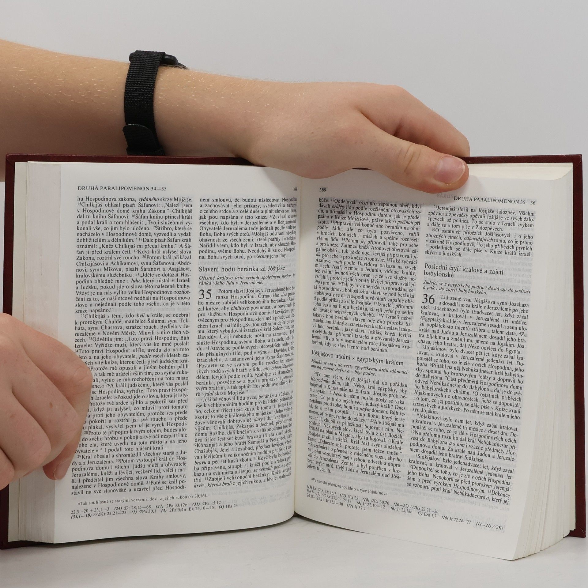 Autorenkollektiv Bible. Písmo svaté Starého a Nového zákona
