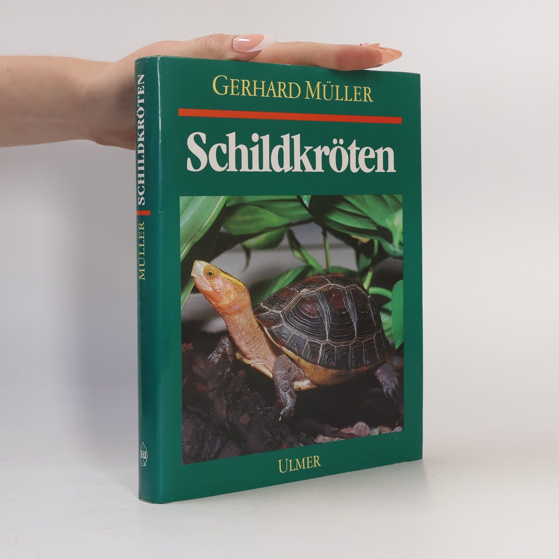 Gerhard Müller Schildkröten