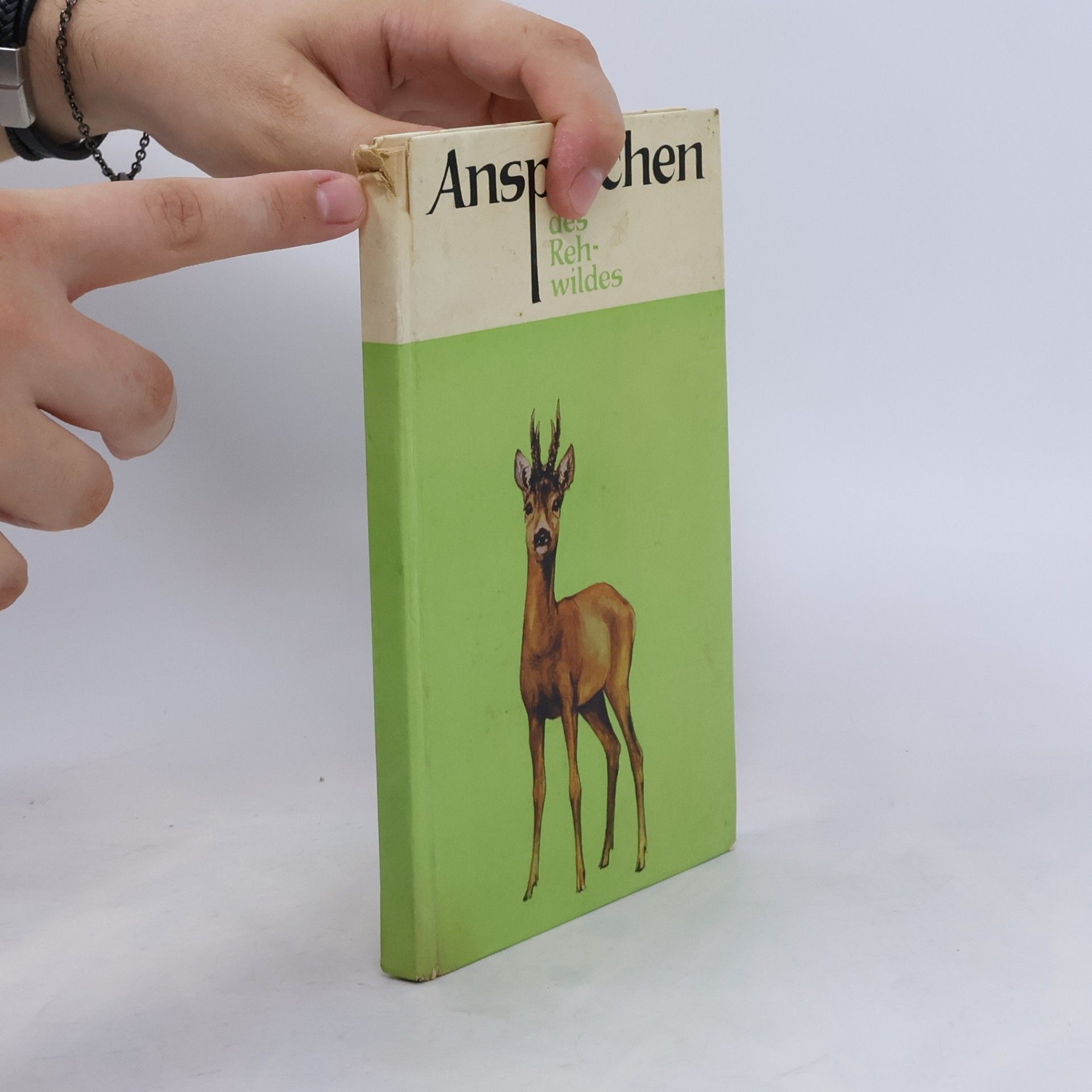 Autorenkollektiv Ansprechen des Rehwildes