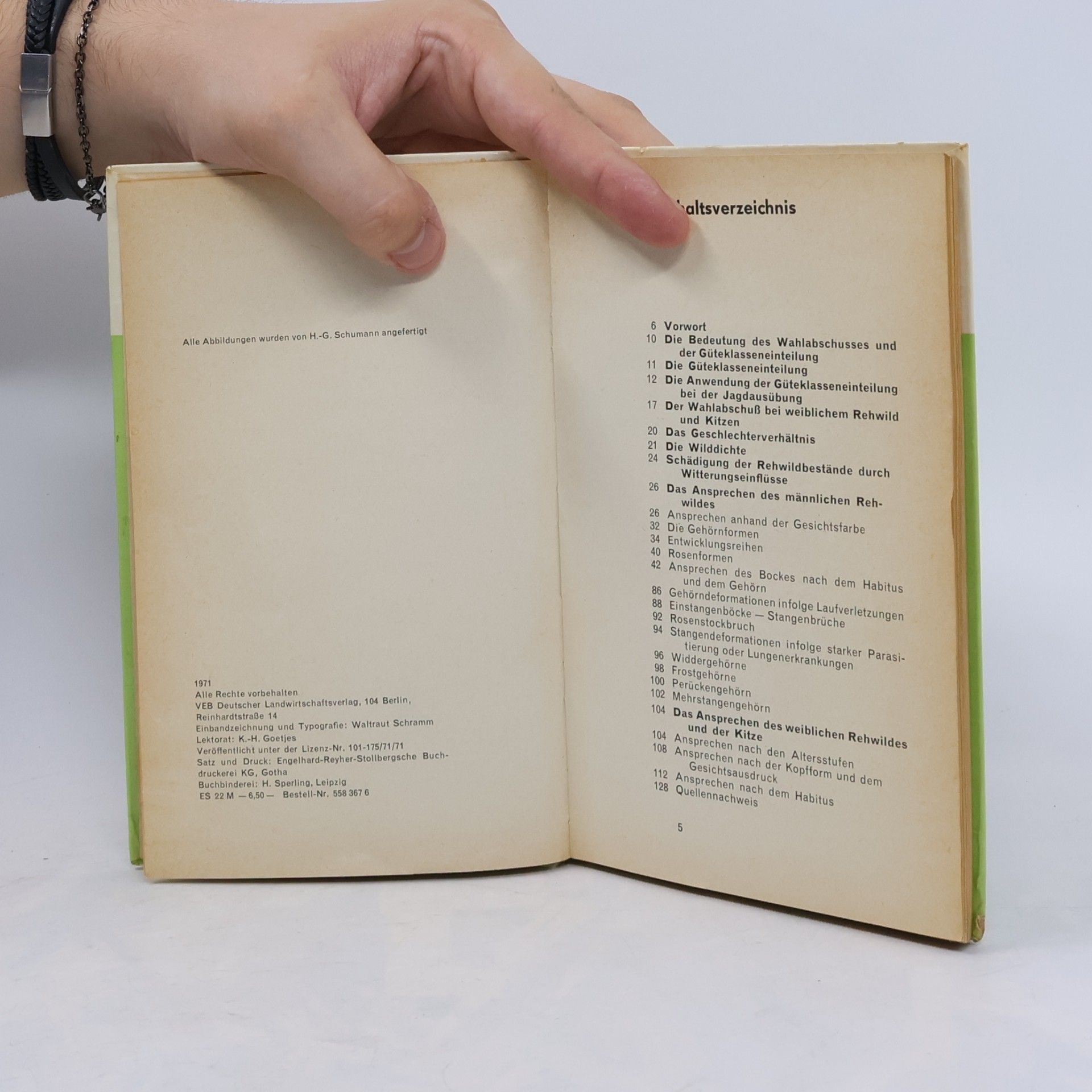 Autorenkollektiv Ansprechen des Rehwildes
