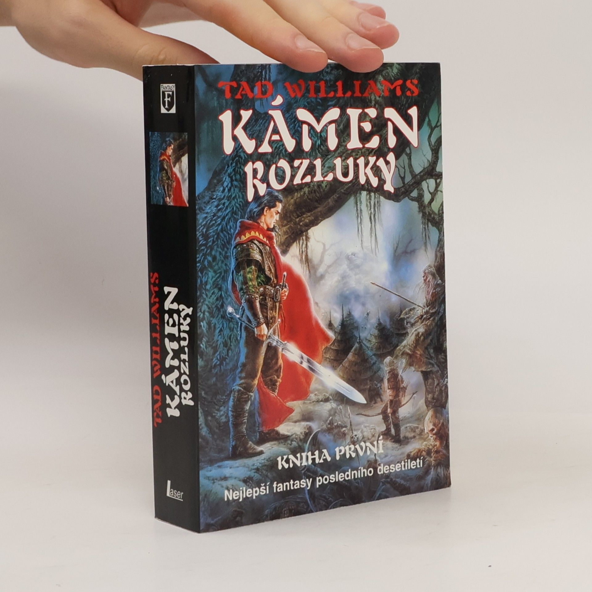 Tad Williams Kámen rozluky. Kniha první.