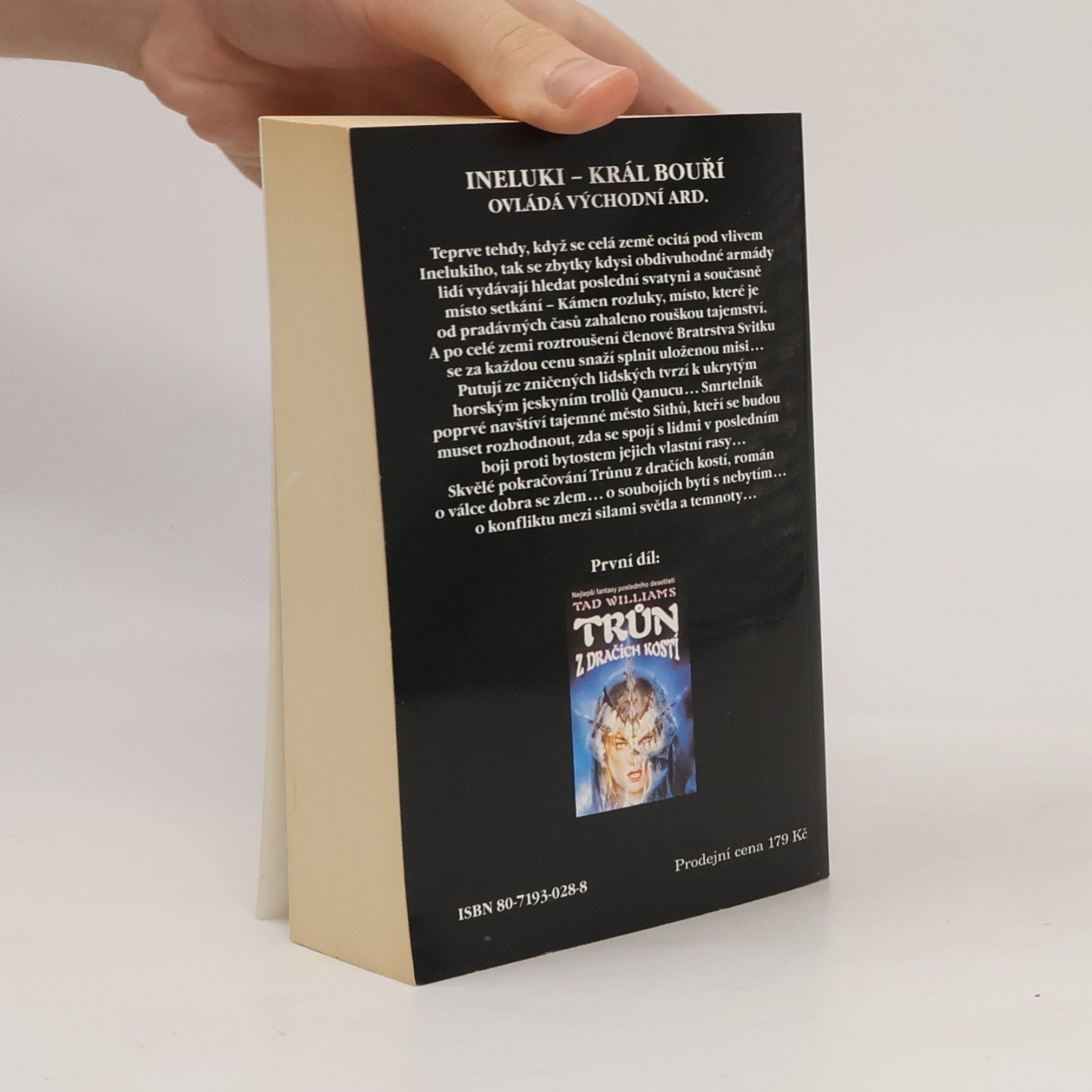 Tad Williams Kámen rozluky. Kniha první.