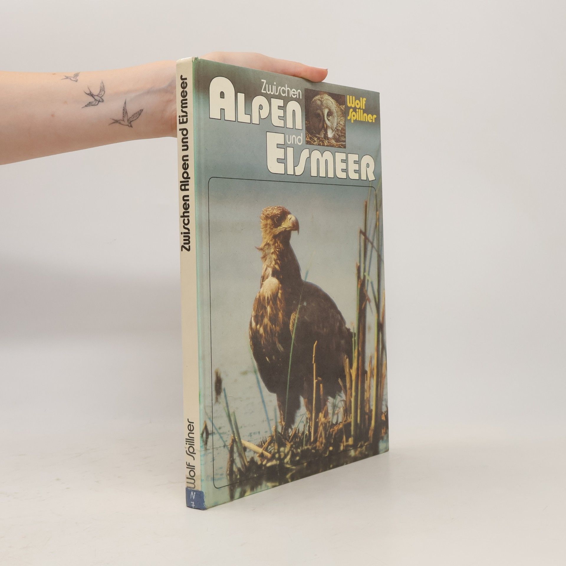 Wolf Spillner Zwischen Alpen und Eismeer