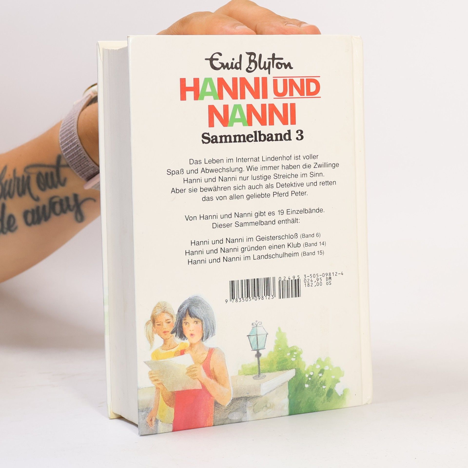 Enid Blyton Hanni und Nanni. Sammelband 3