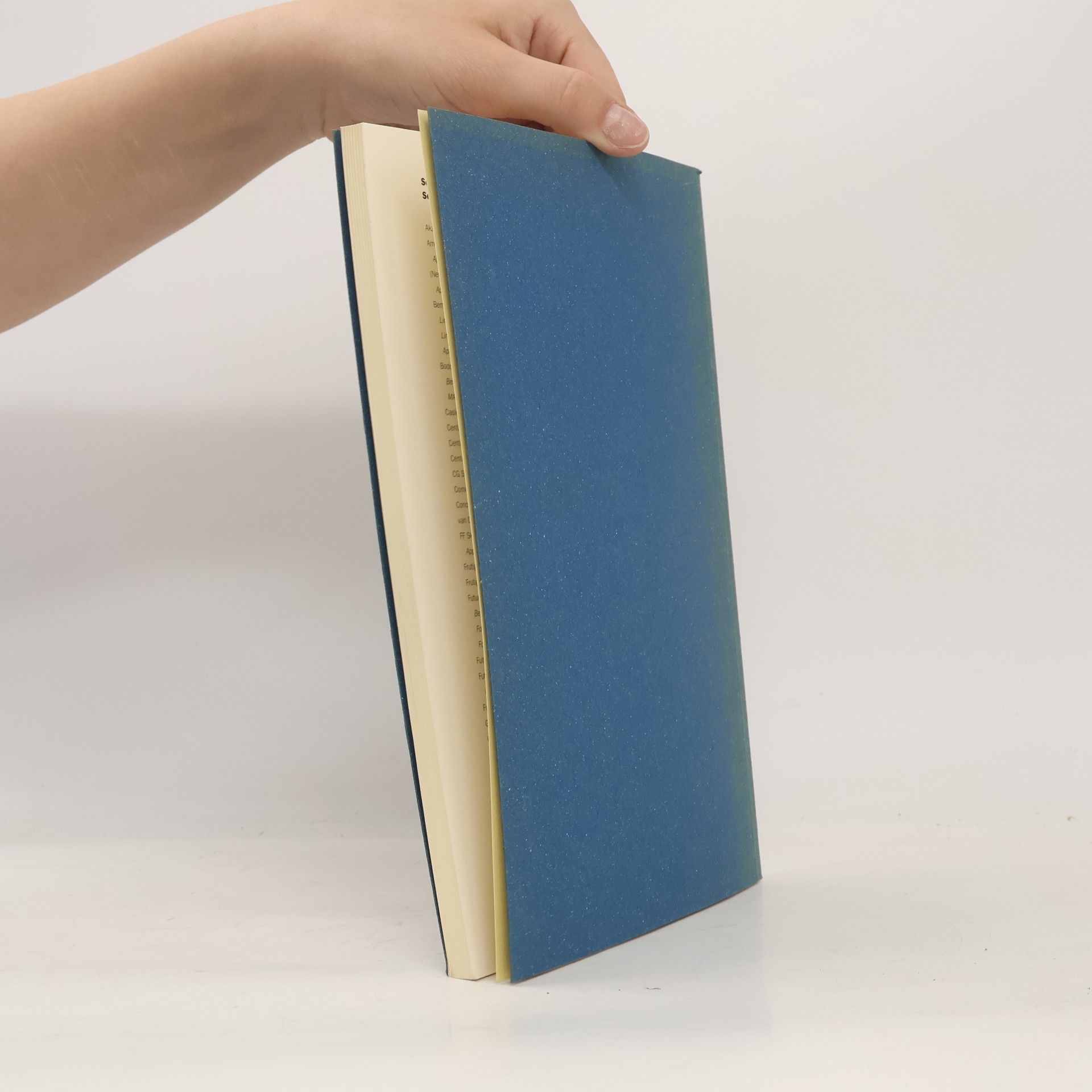 Kolektív autorov Die schönsten deutschen Bücher 92. Stiftung Buchkunst