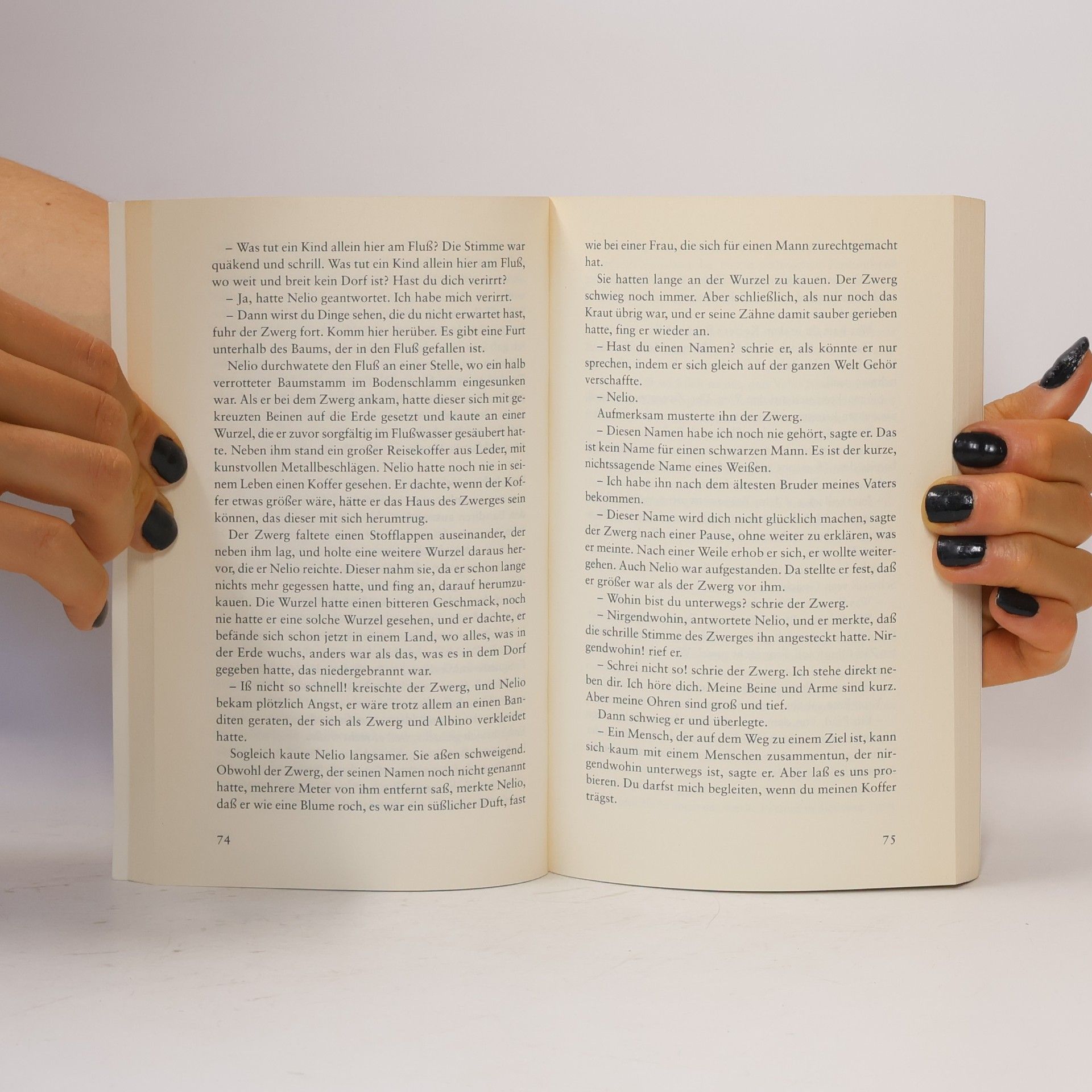 Henning Mankell Der Chronist der Winde