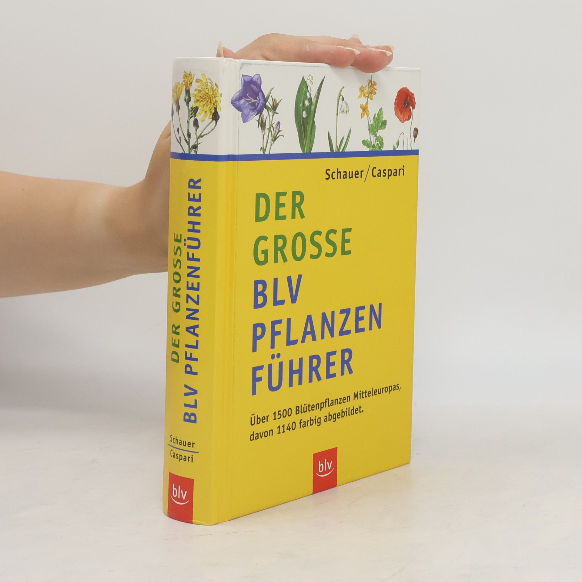 Thomas Schauer Der grosse BLV-Pflanzenführer