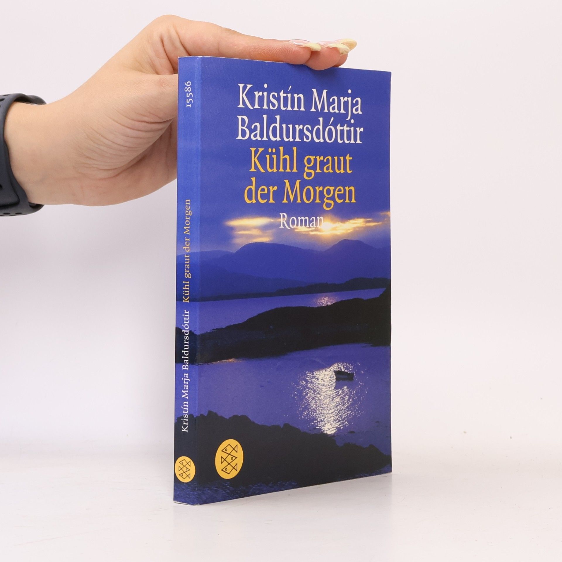 Kristín Marja Baldursdóttir Kühl graut der Morgen
