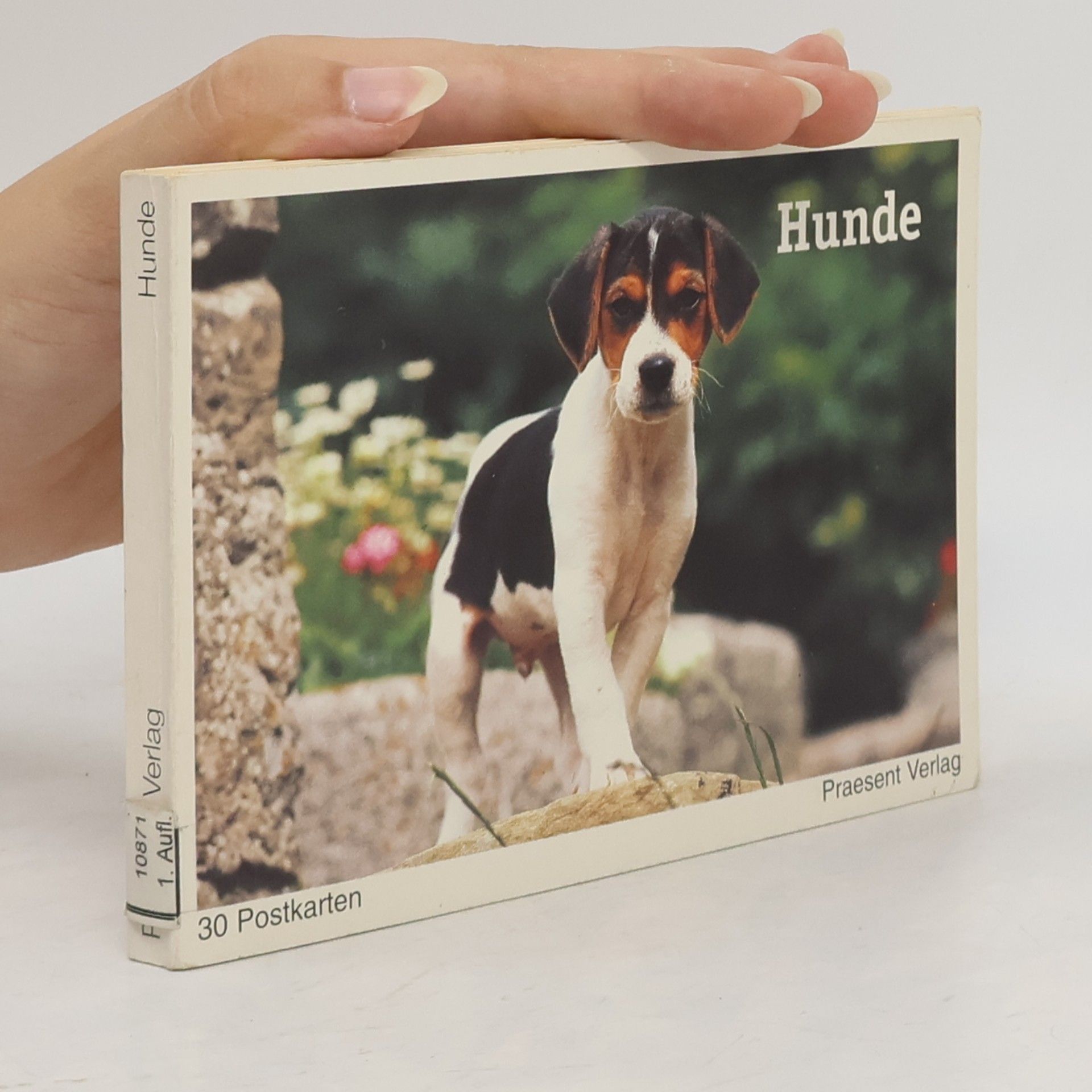 kolektiv Hunde