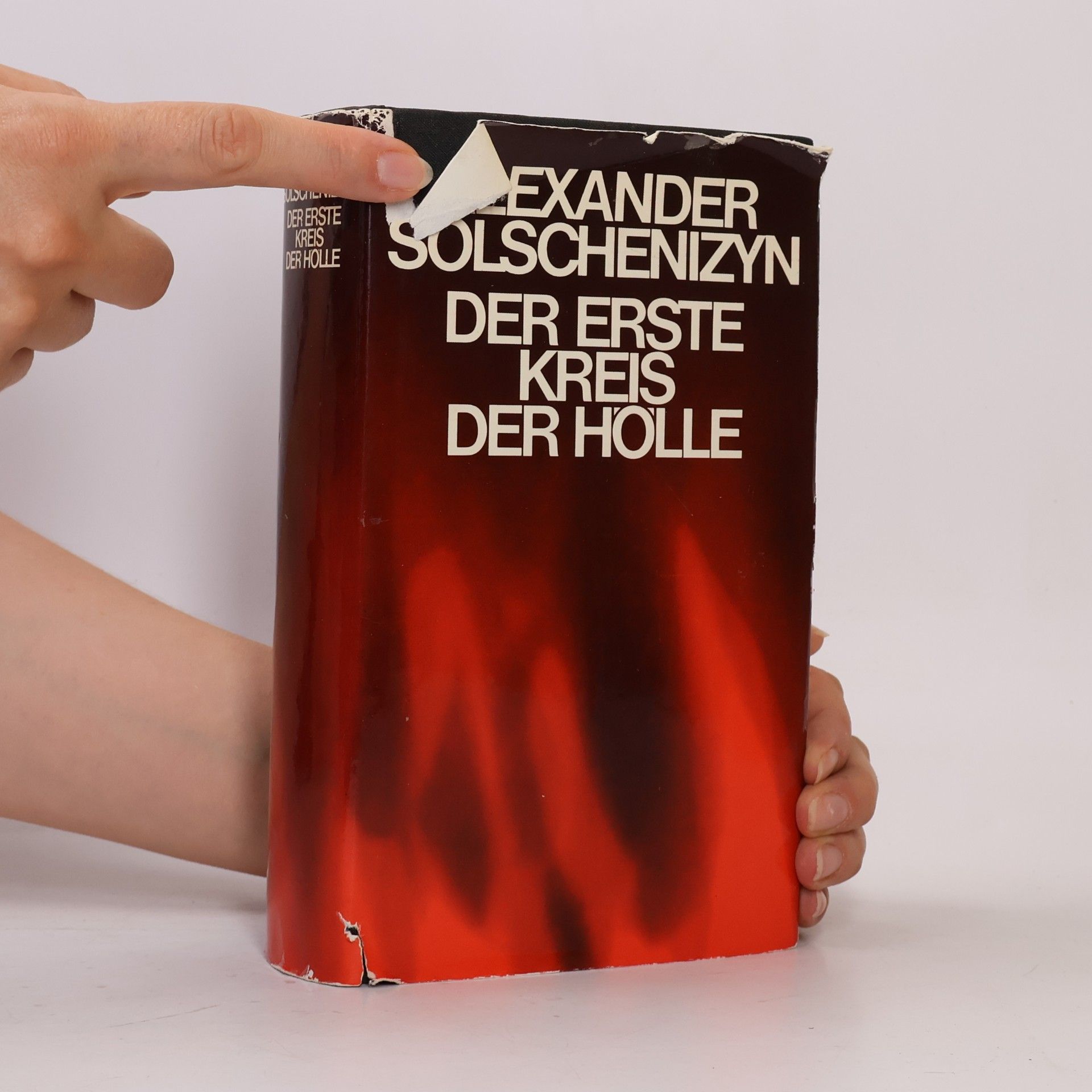 Aleksandr Isajevič Solženicyn Der erste Kreis der Hölle