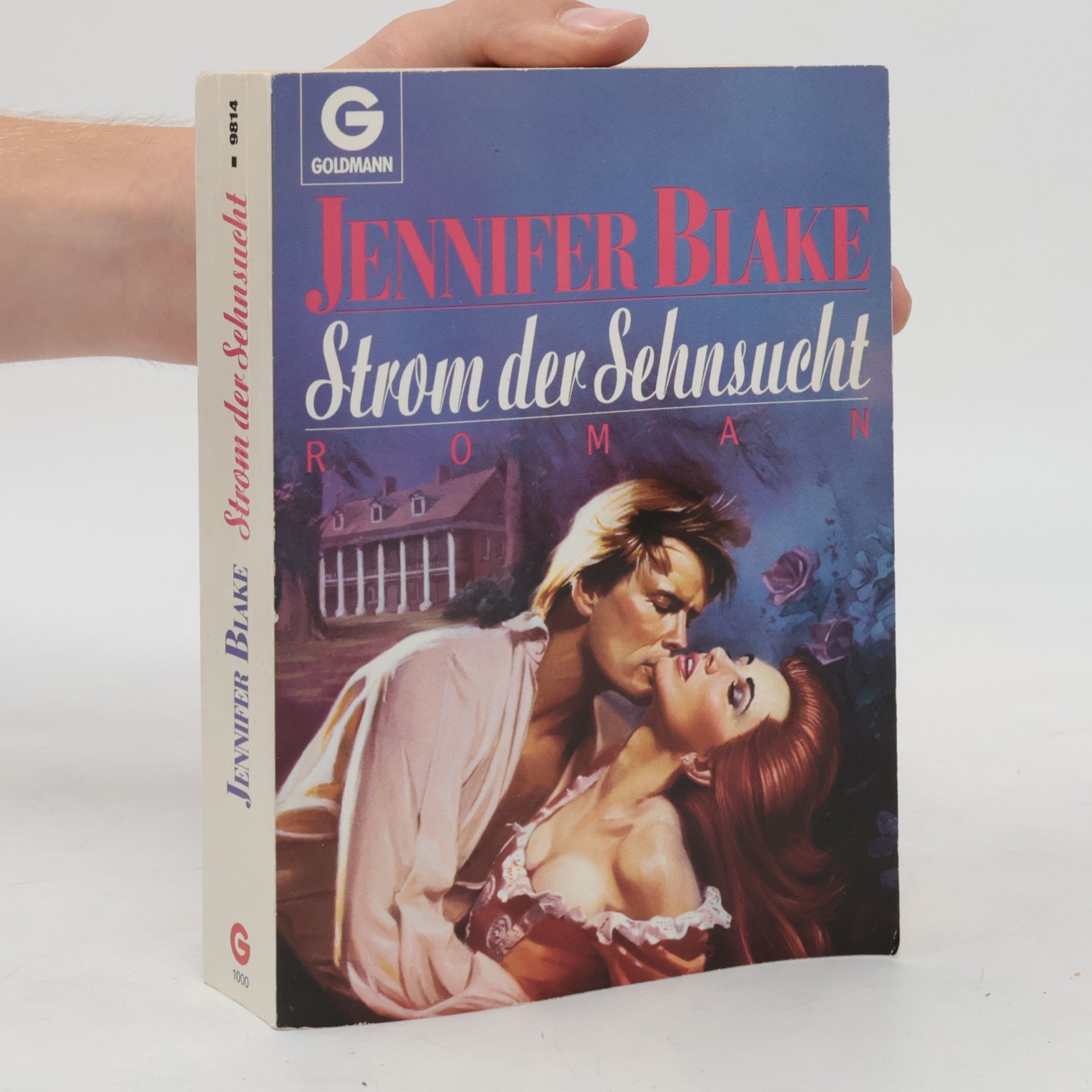 Jennifer Blake Strom der Sehnsucht. Roman