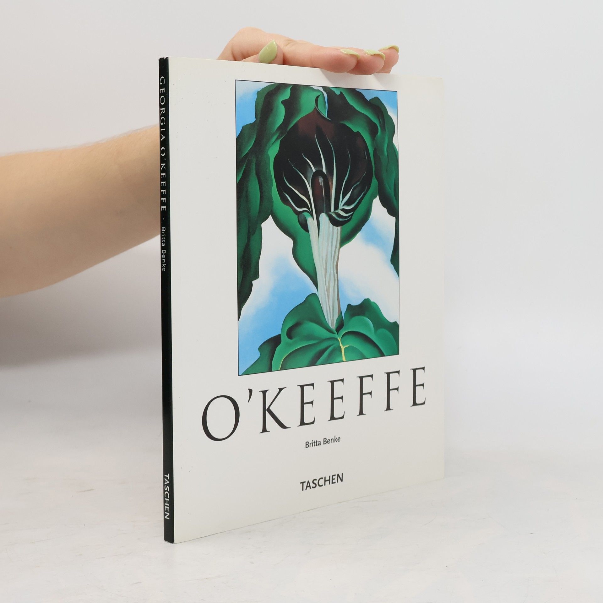 Georgia O. Keeffe O'Keeffe. Kleine Reihe - Kunst