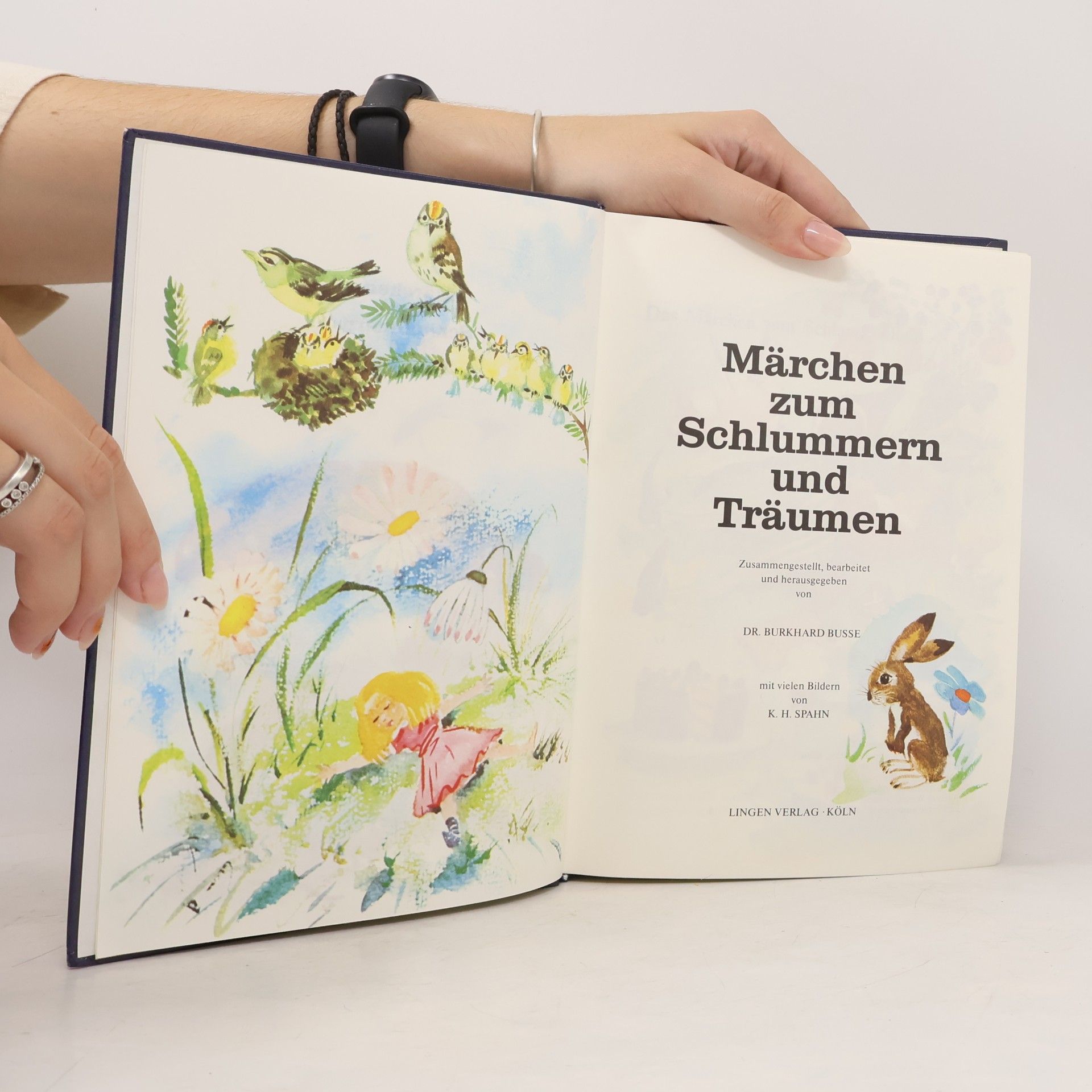 Burkhard Busse Märchen zum Schlummern und Träumen