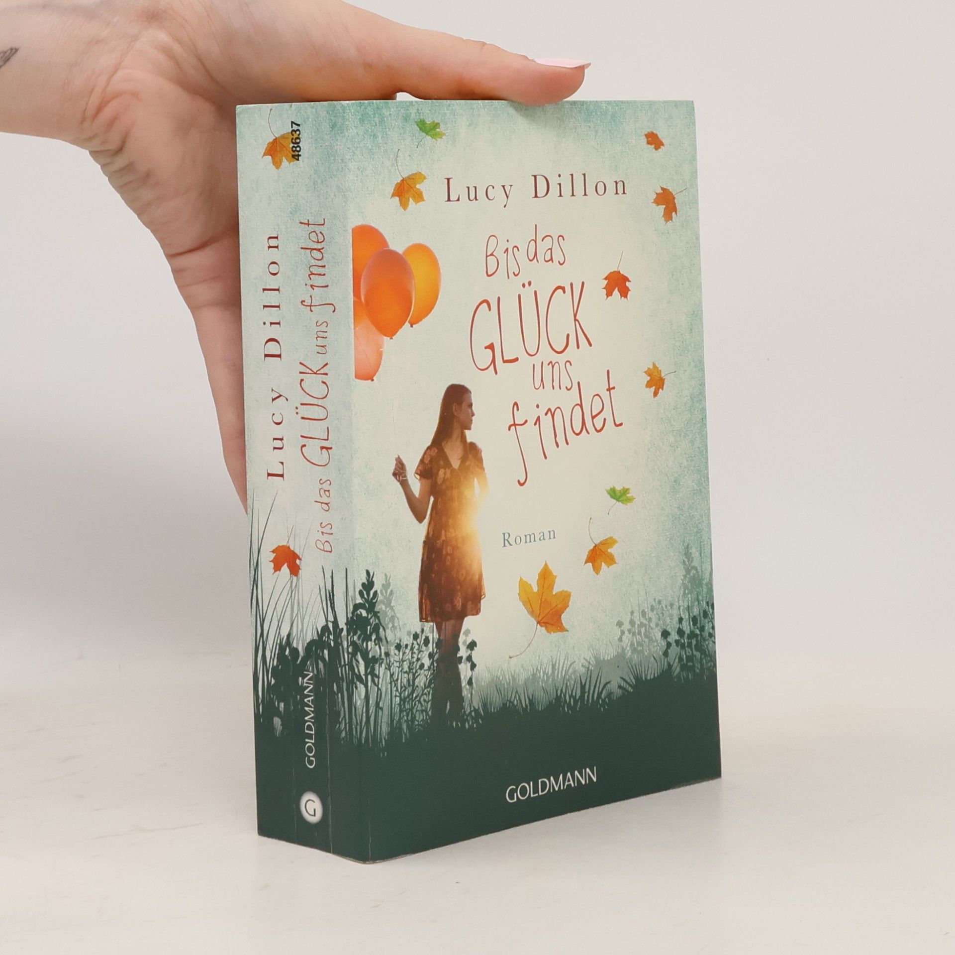 Lucy Dillon Bis das Glück uns findet