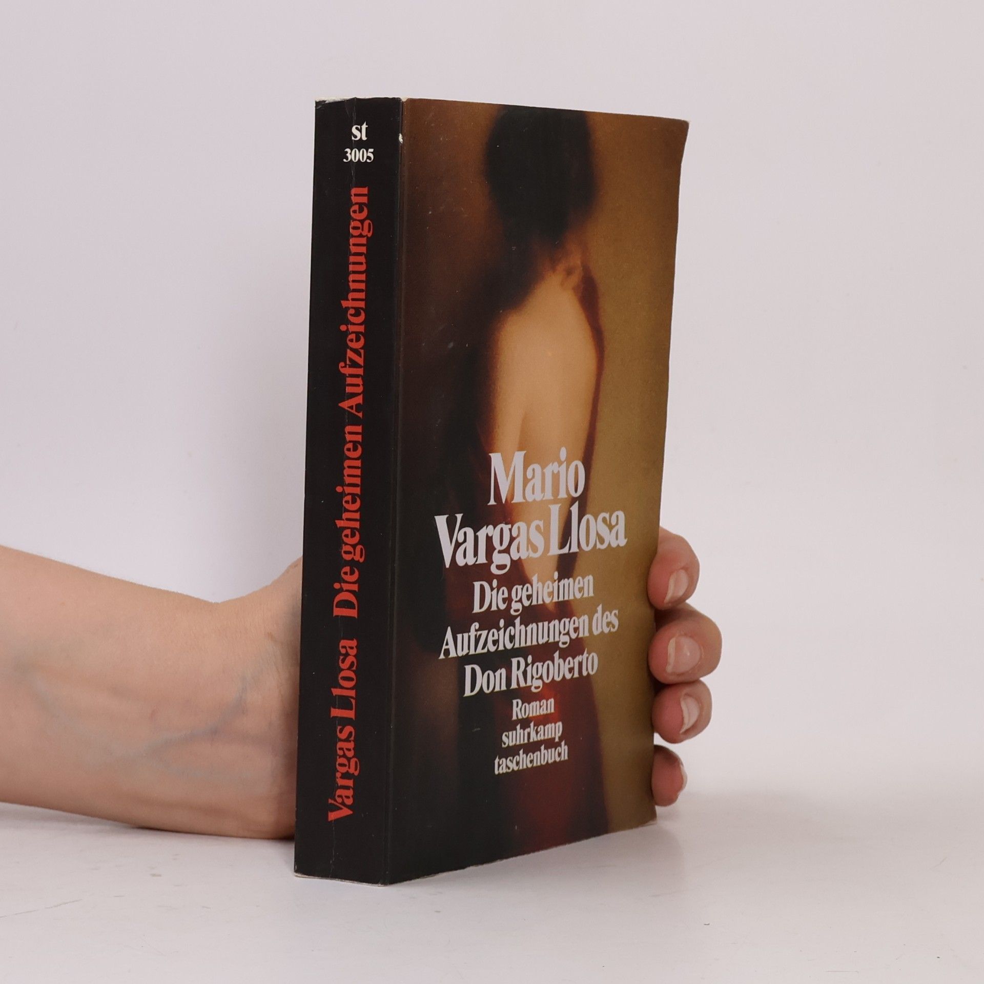 Mario Vargas Llosa Die geheimen Aufzeichnungen des Don Rigoberto