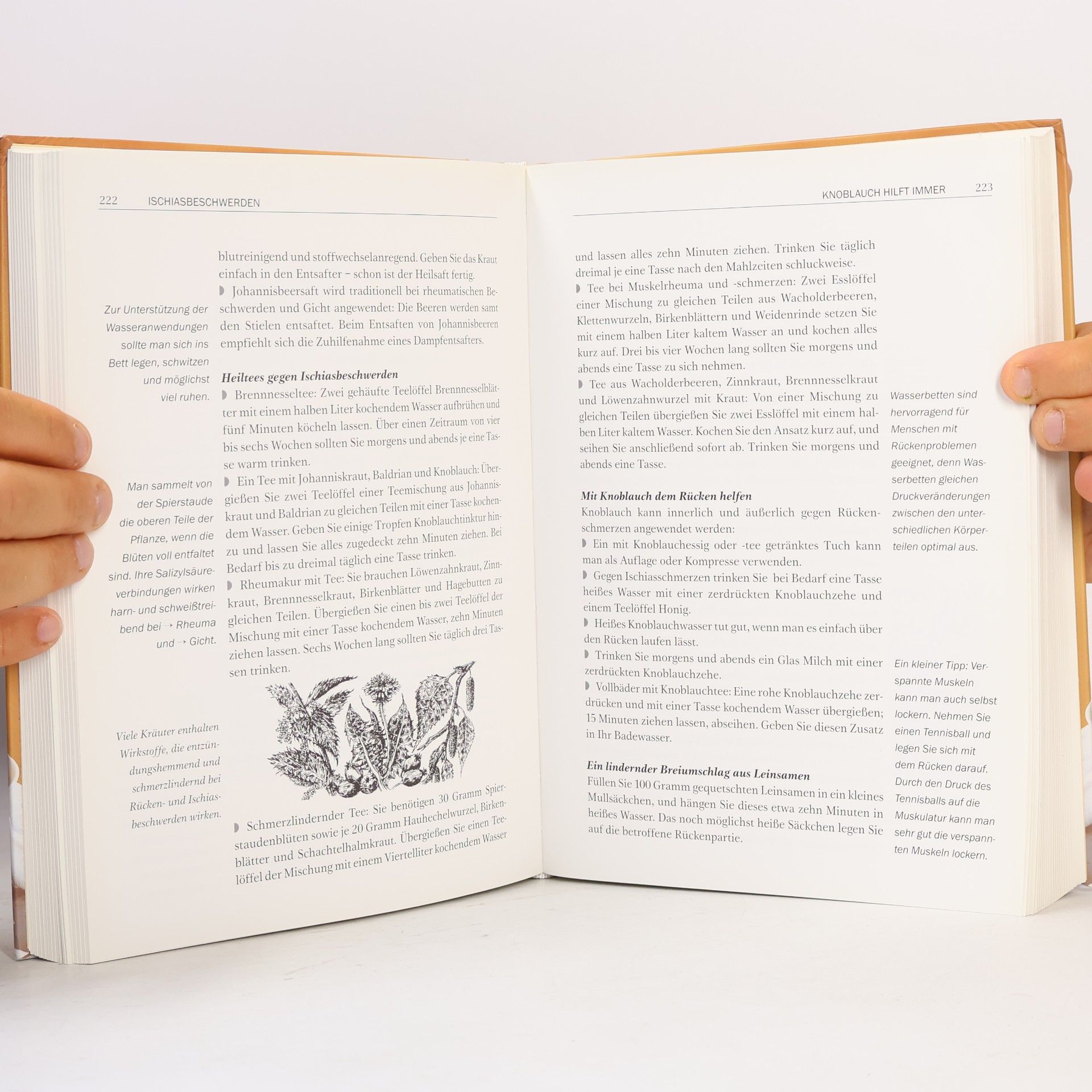 Eberhard J. Wormer Omas großes Buch der Hausmittel