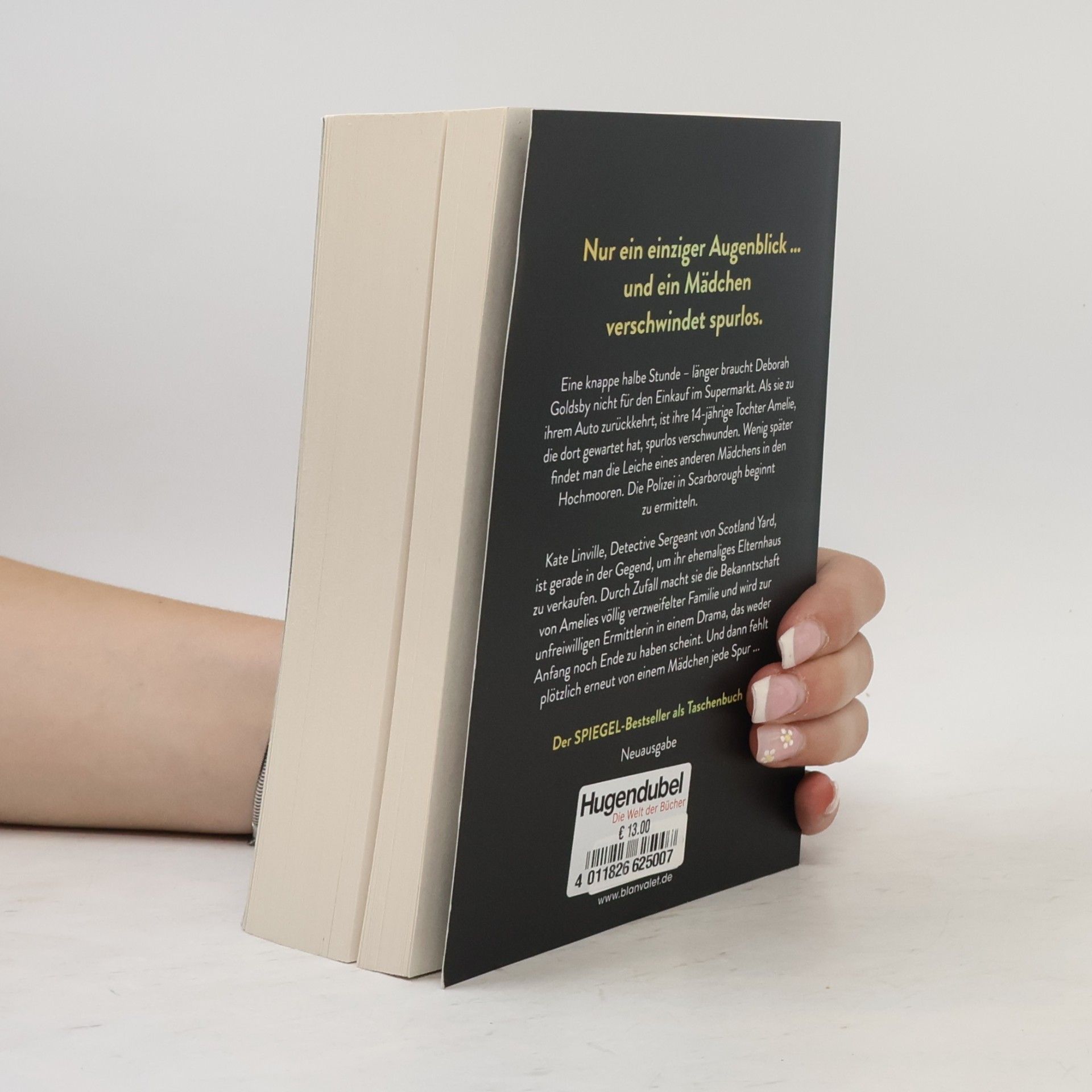 Charlotte Link Kate-Linville-Thriller - 2: Die Suche