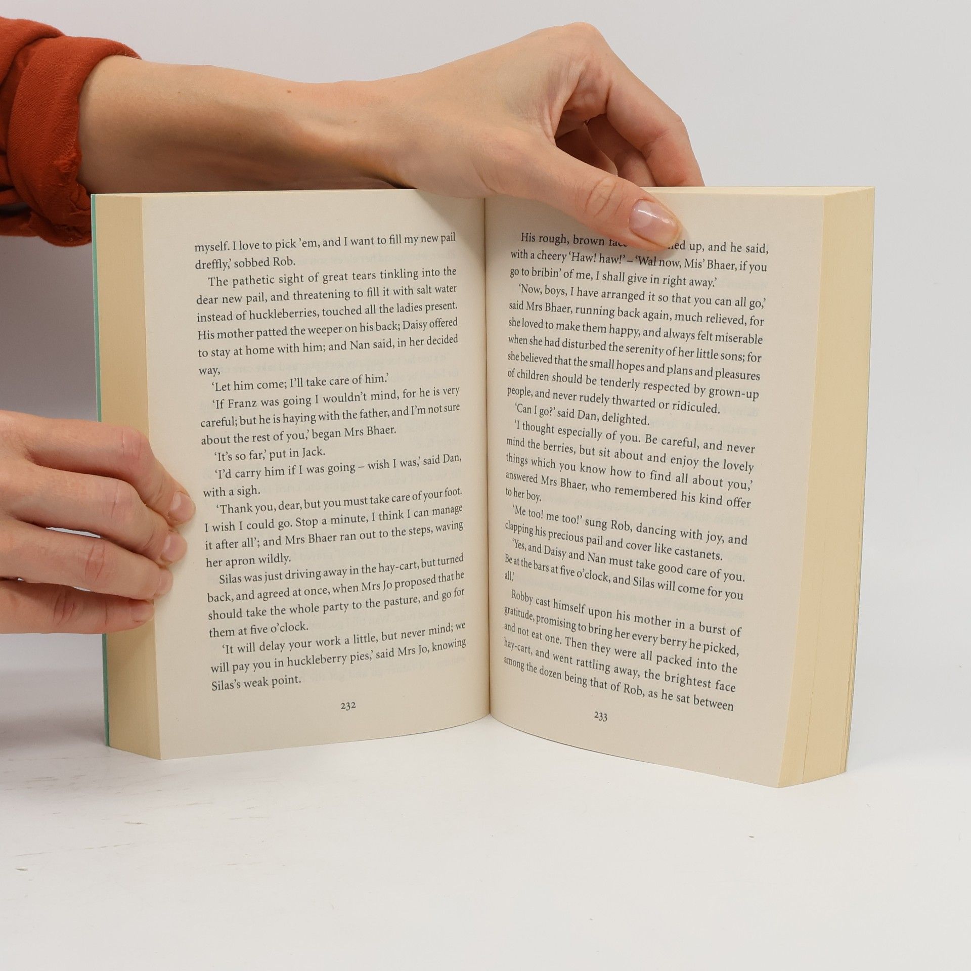 Louisa May Alcott Little Men (braun)