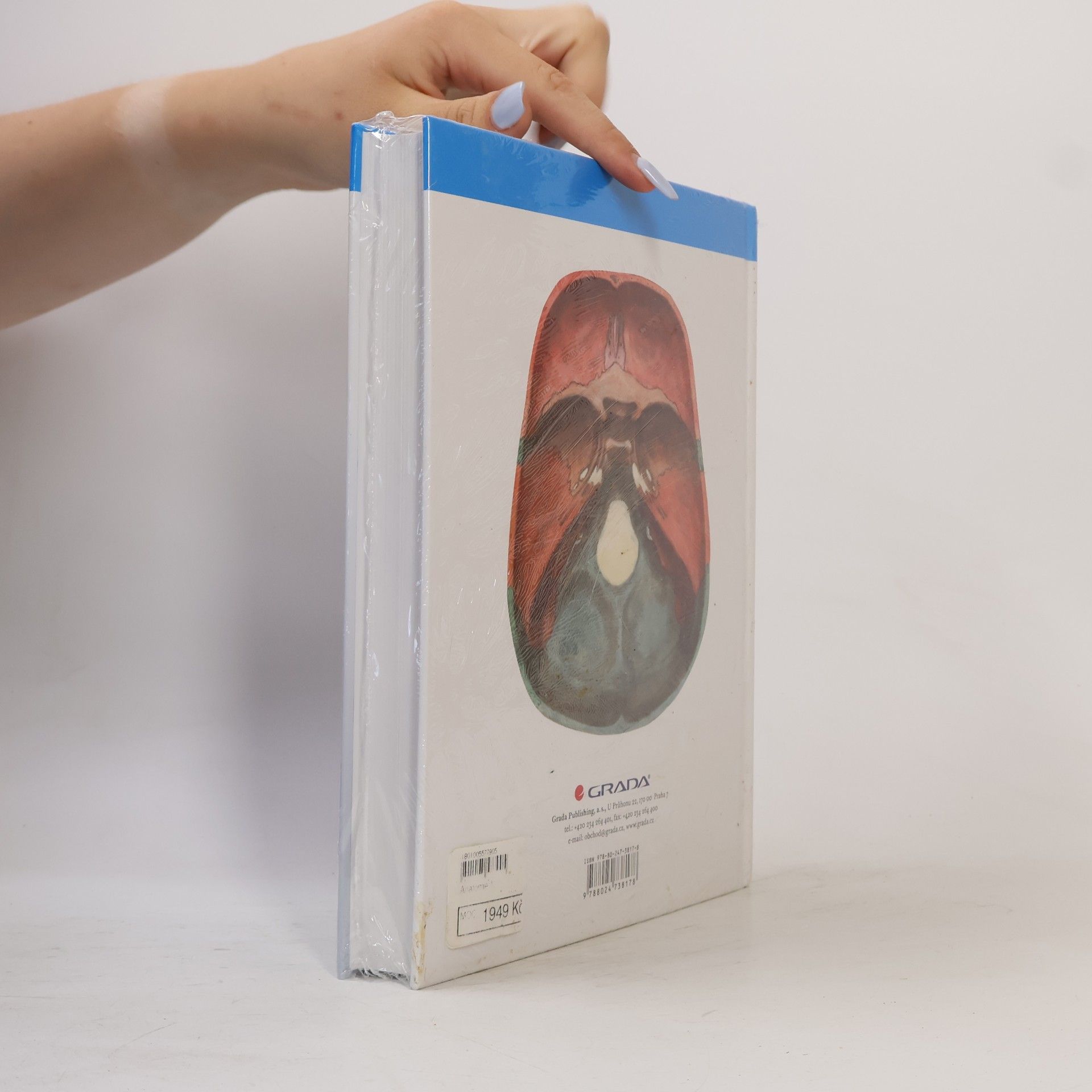 Oldřich Fejfar Anatomie 1