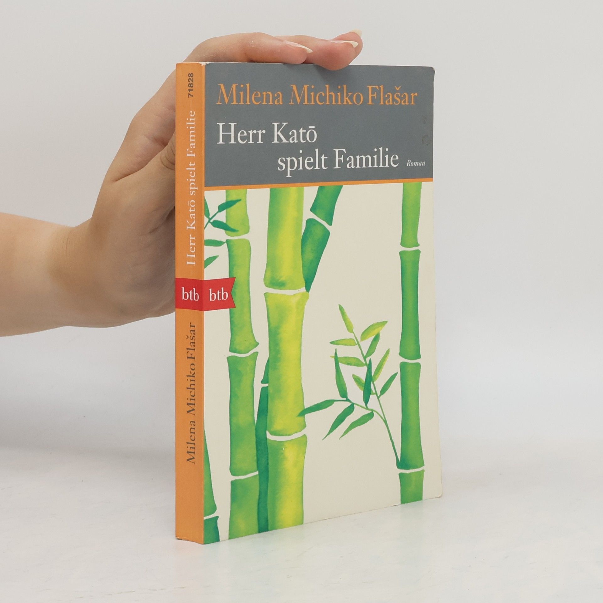 Milena Michiko Flašar Herr Katō spielt Familie
