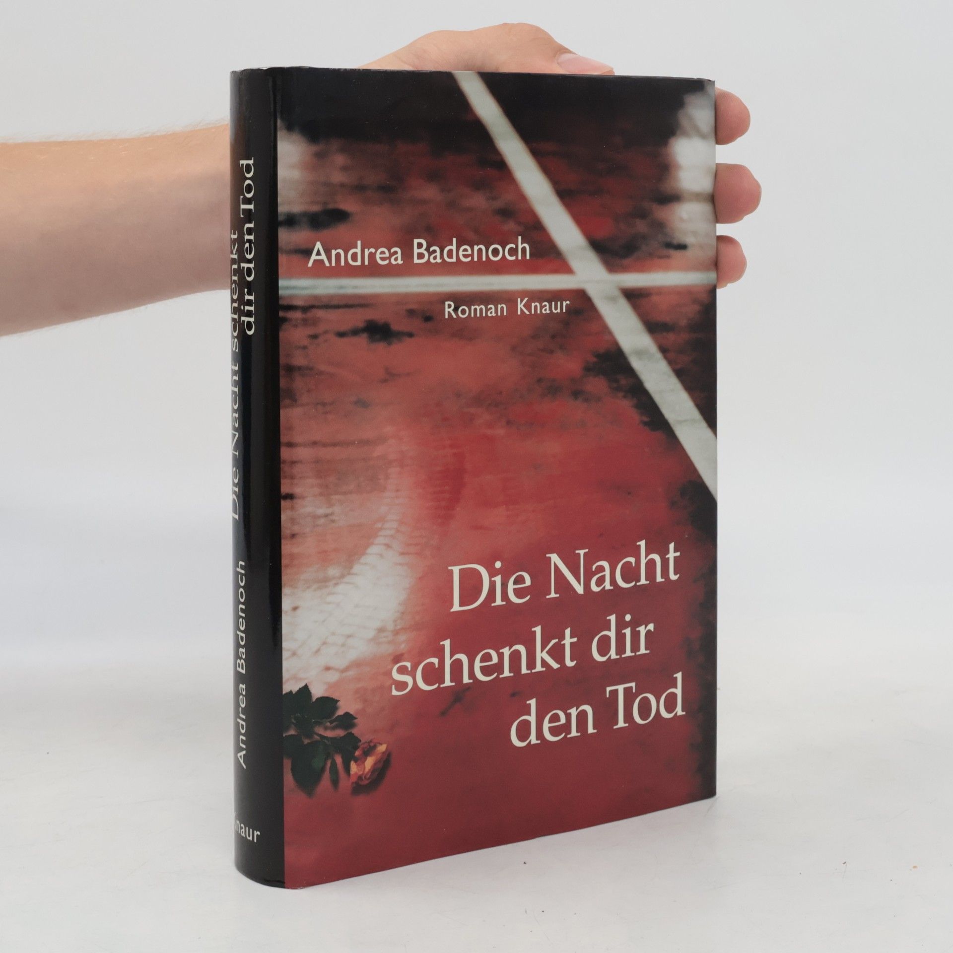 Andrea Badenoch Die Nacht schenkt