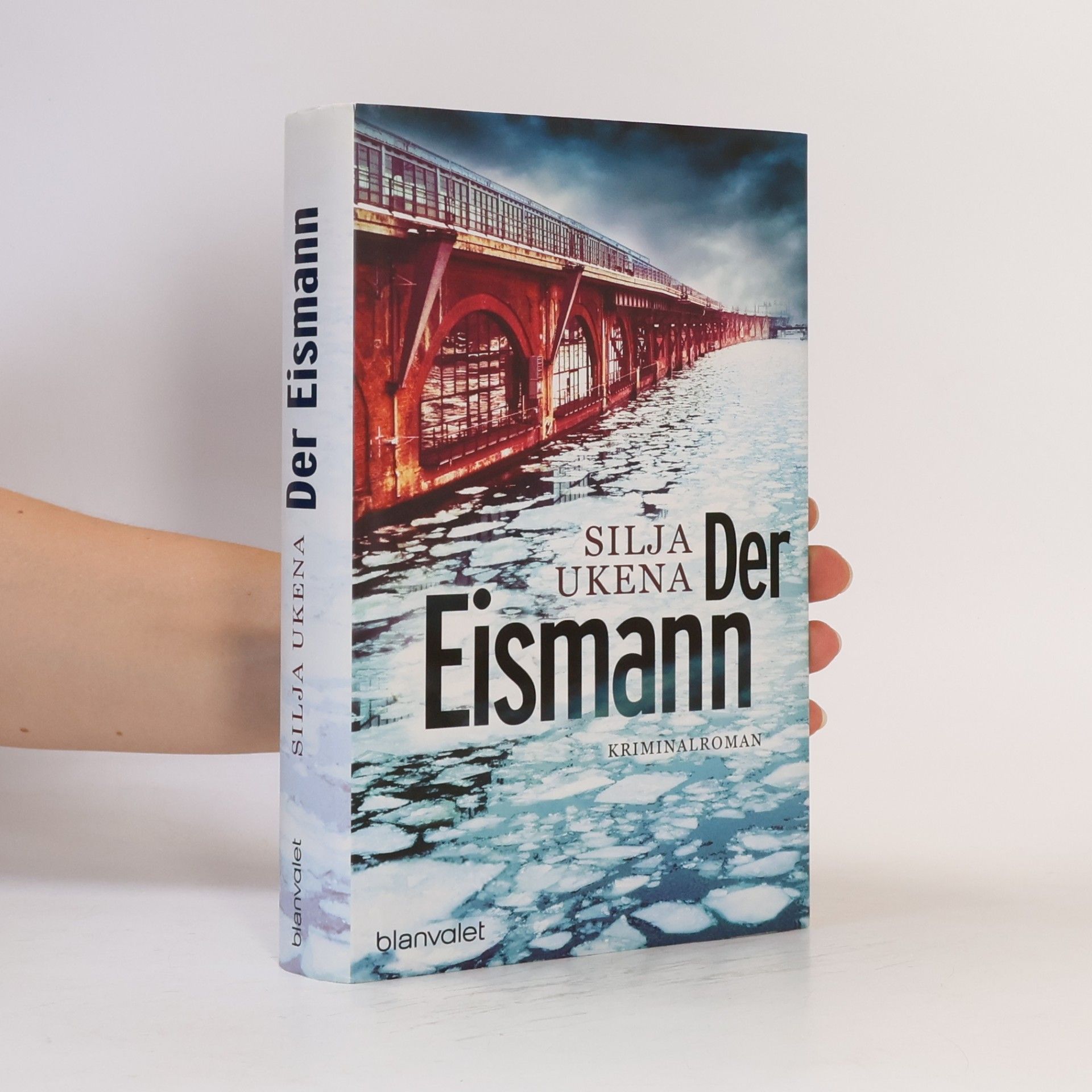Silja Ukena Der Eismann