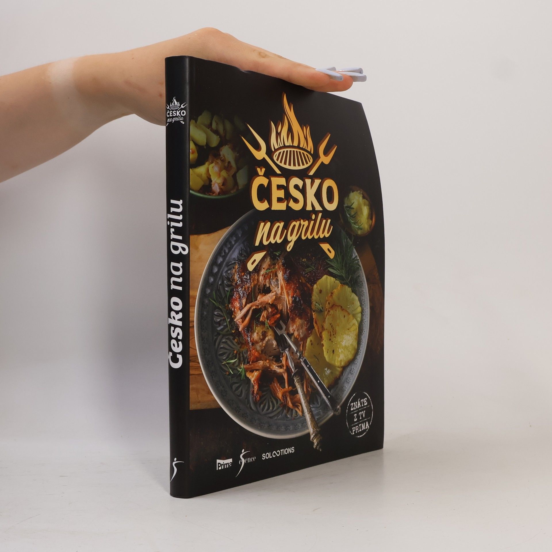 Kolektív autorov Česko na grilu