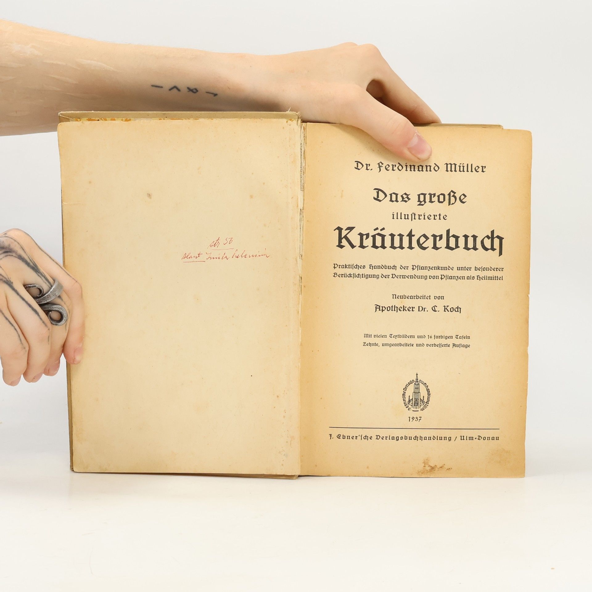 Ferdinand Müller Das große Kräuterbuch