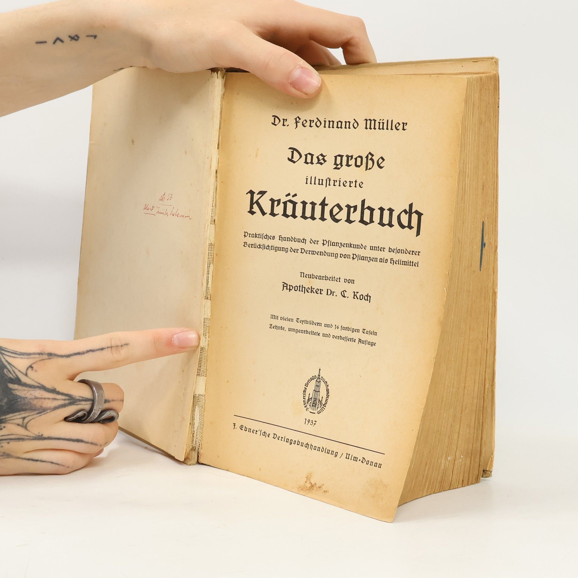 Ferdinand Müller Das große Kräuterbuch