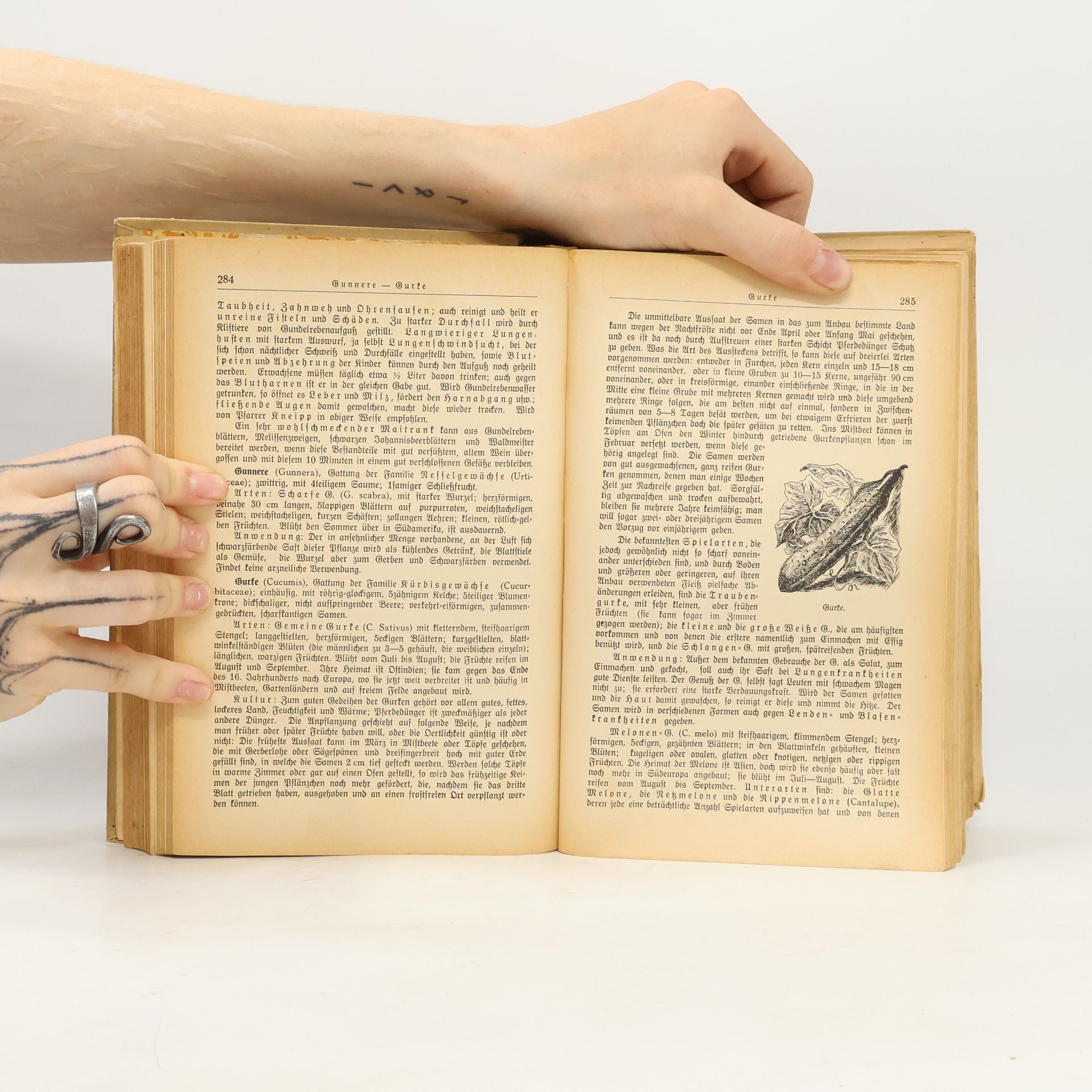 Ferdinand Müller Das große Kräuterbuch